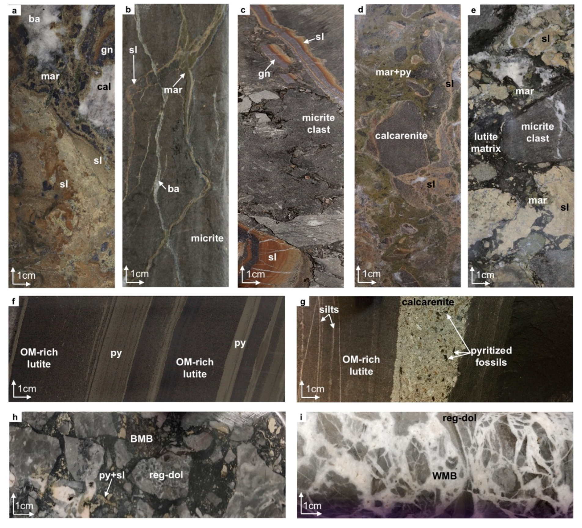 Minerals 09 00335 g003