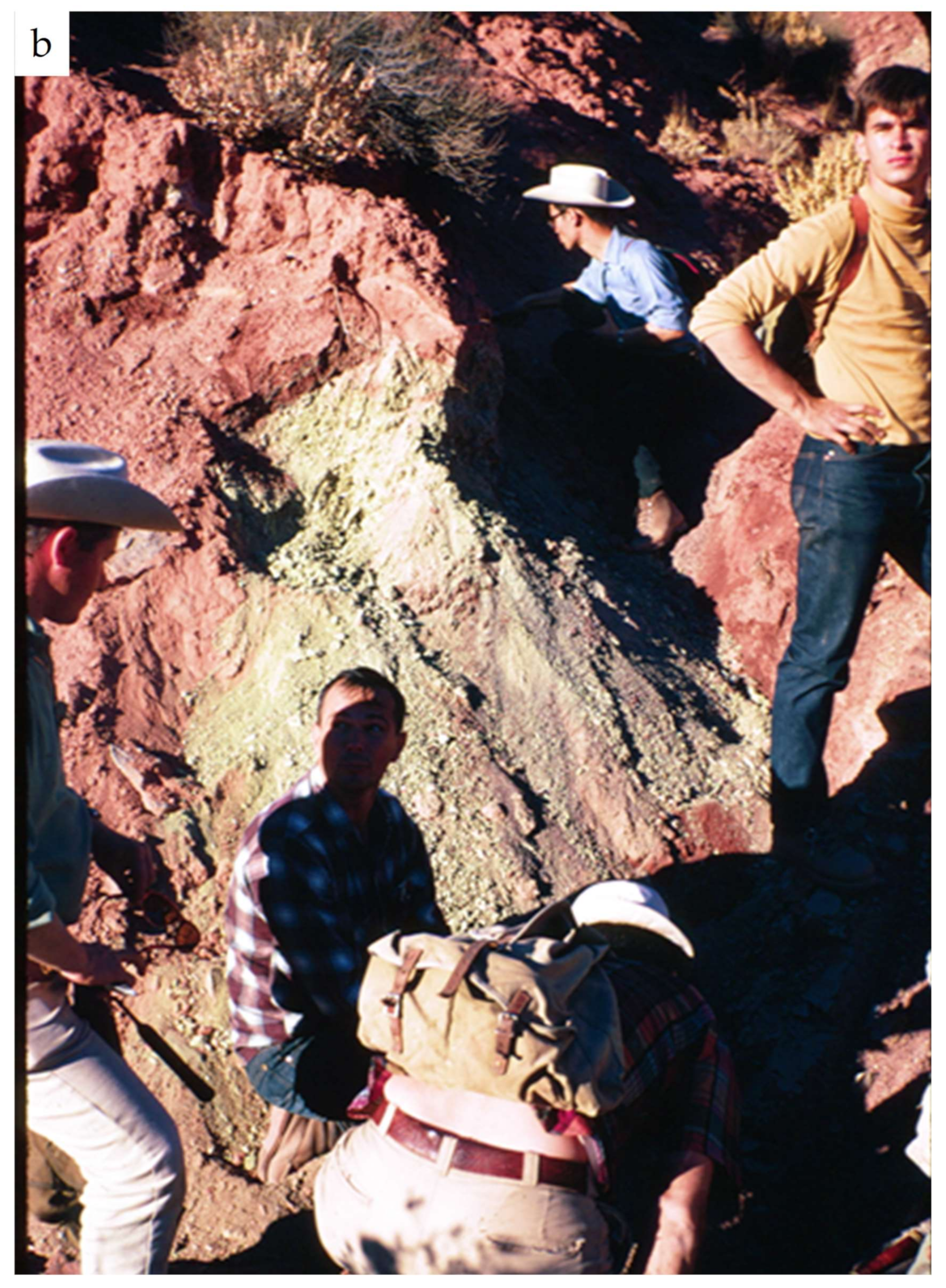 Minerals 09 00342 g010b