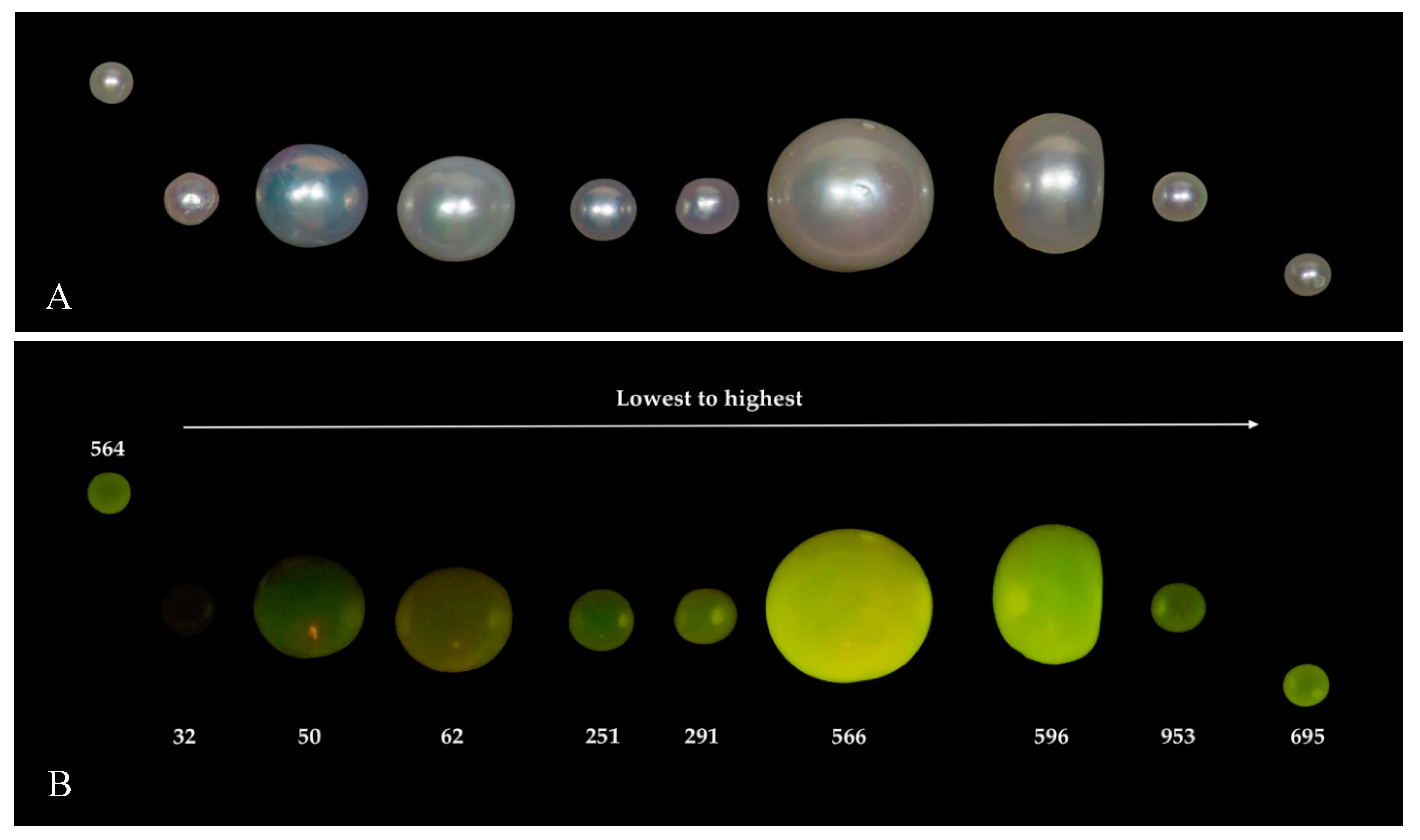 Minerals 09 00357 g006 Minerals 09 00357 g006