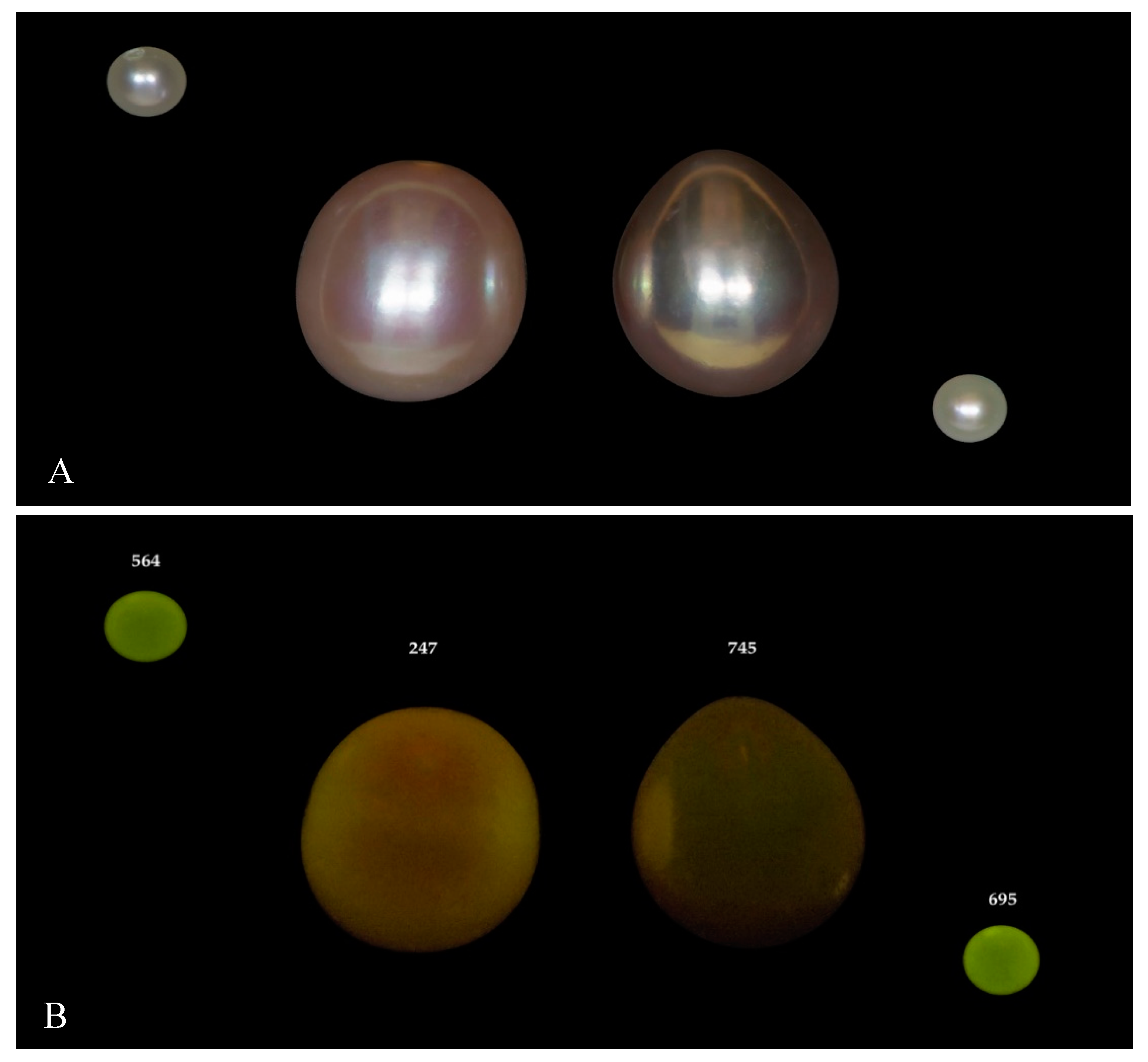 Minerals 09 00357 g007 Minerals 09 00357 g007