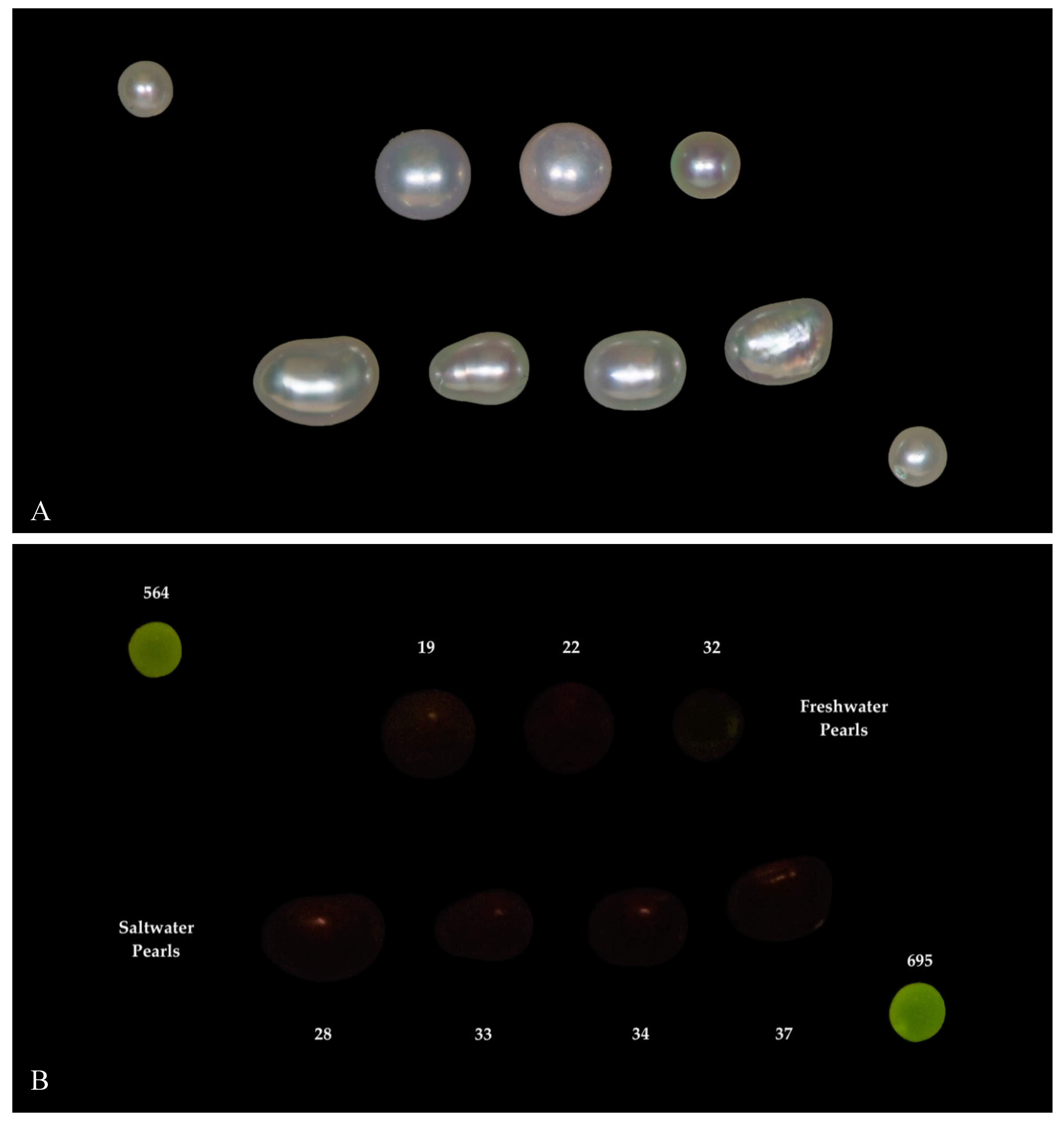 Minerals 09 00357 g009 Minerals 09 00357 g009