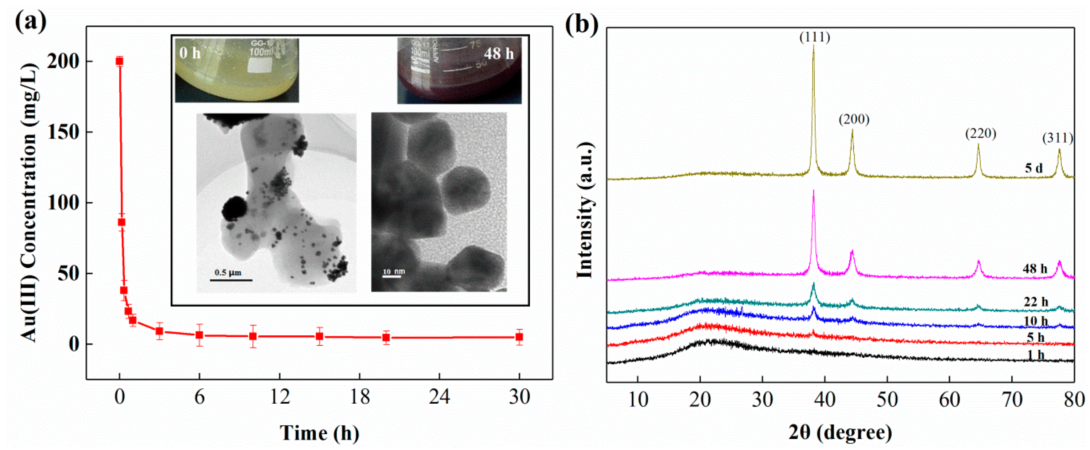 Minerals 09 00392 g001 Minerals 09 00392 g001