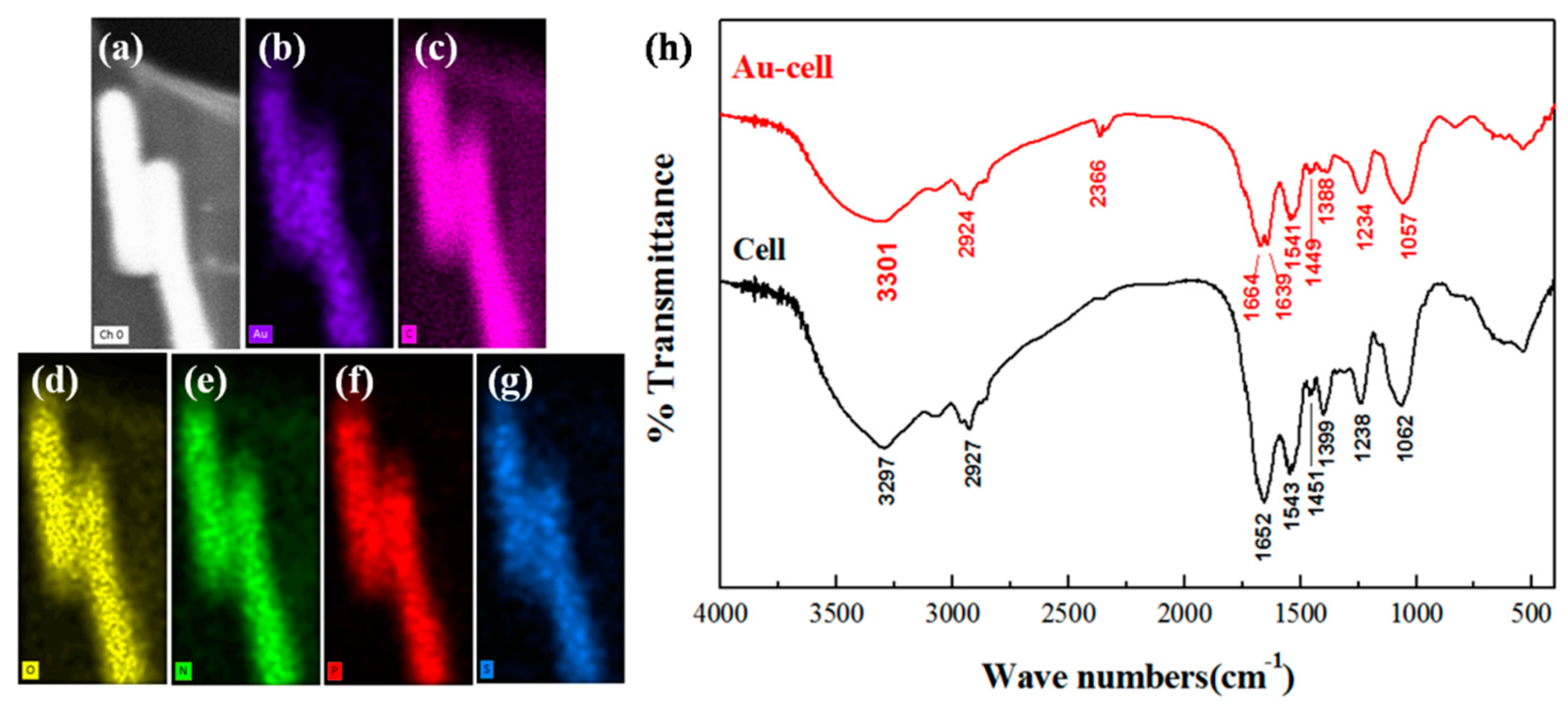 Minerals 09 00392 g002 Minerals 09 00392 g002