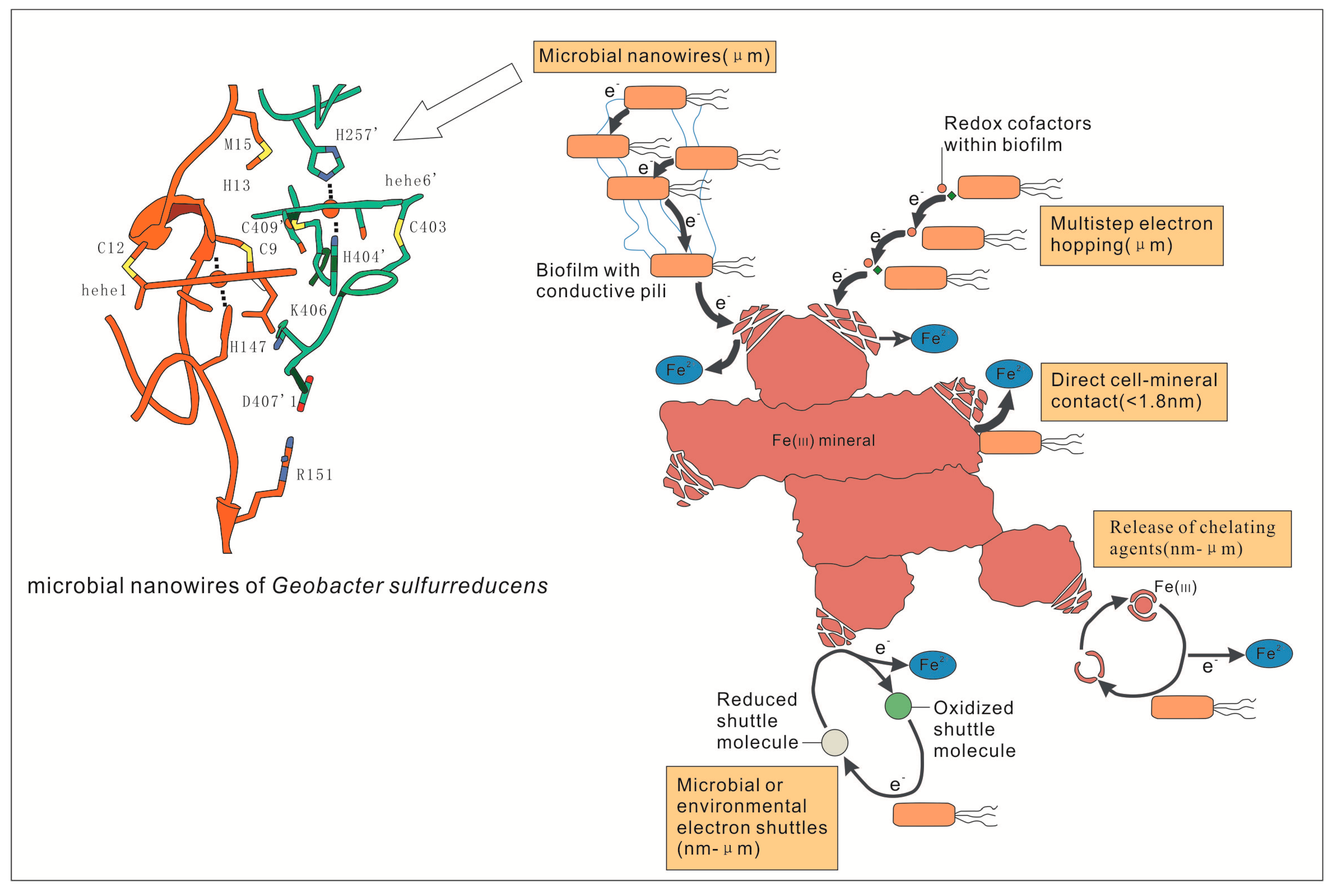 Minerals 09 00413 g002