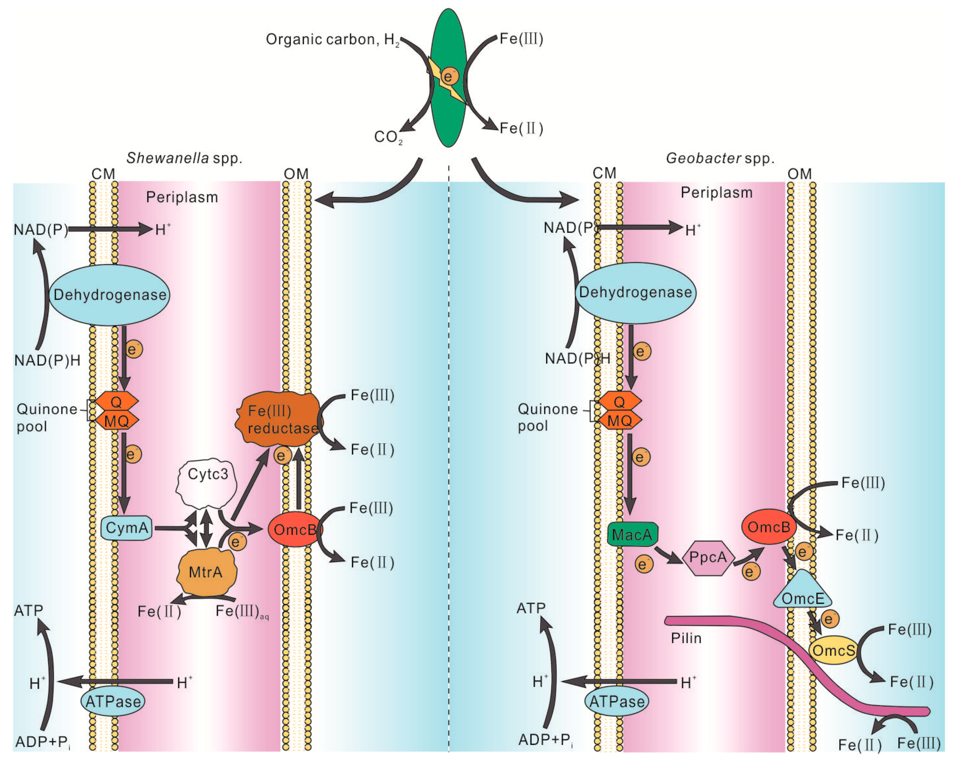 Minerals 09 00413 g003