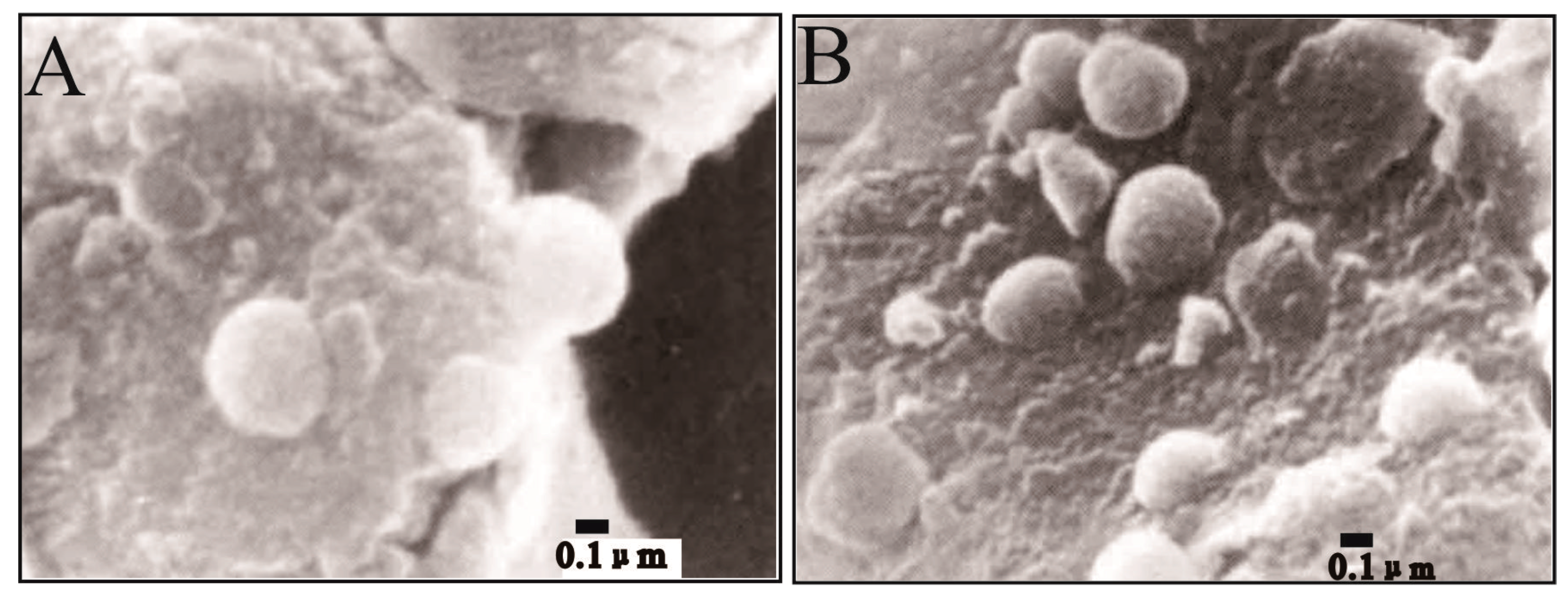 Minerals 09 00413 g004