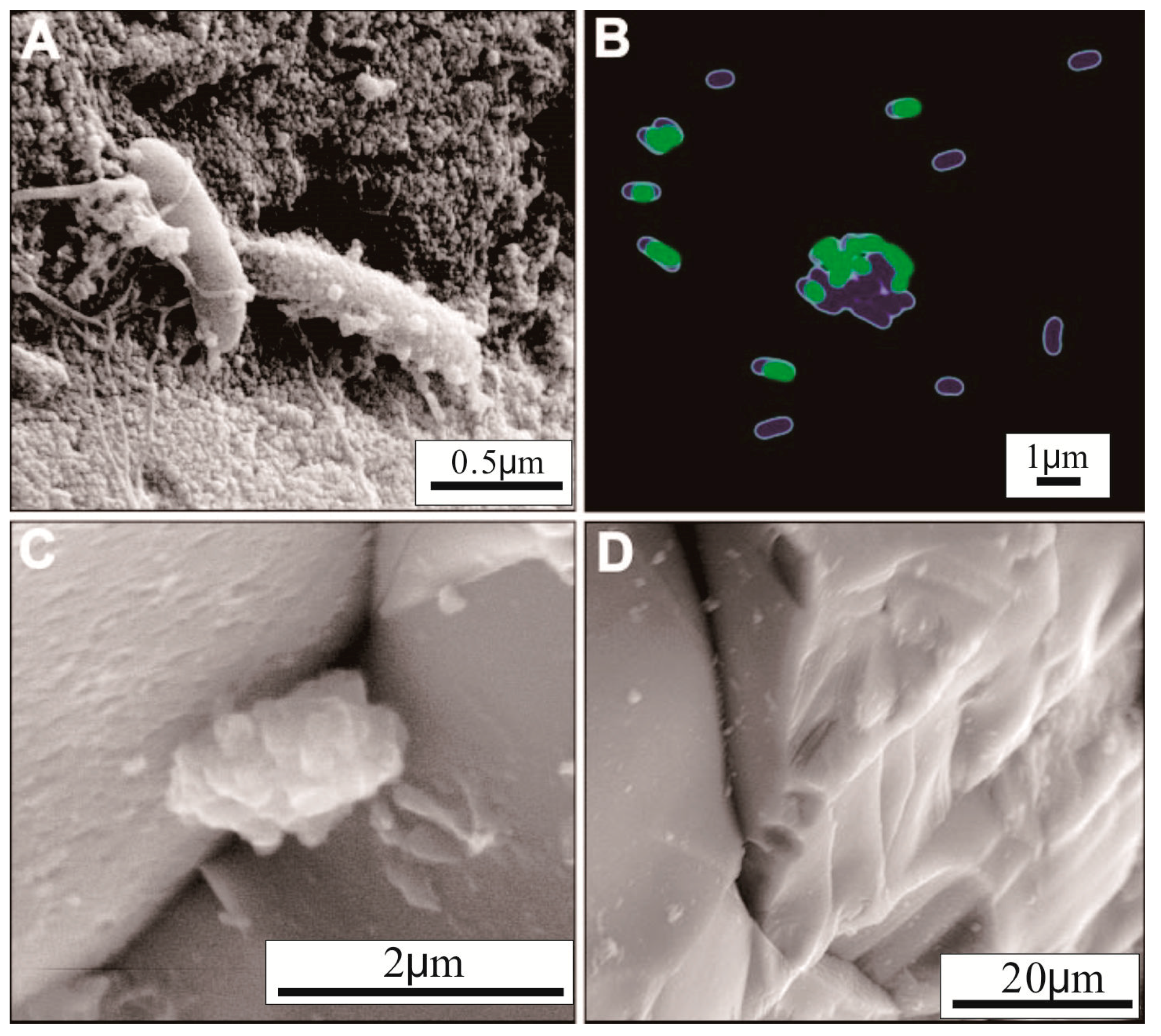 Minerals 09 00413 g005