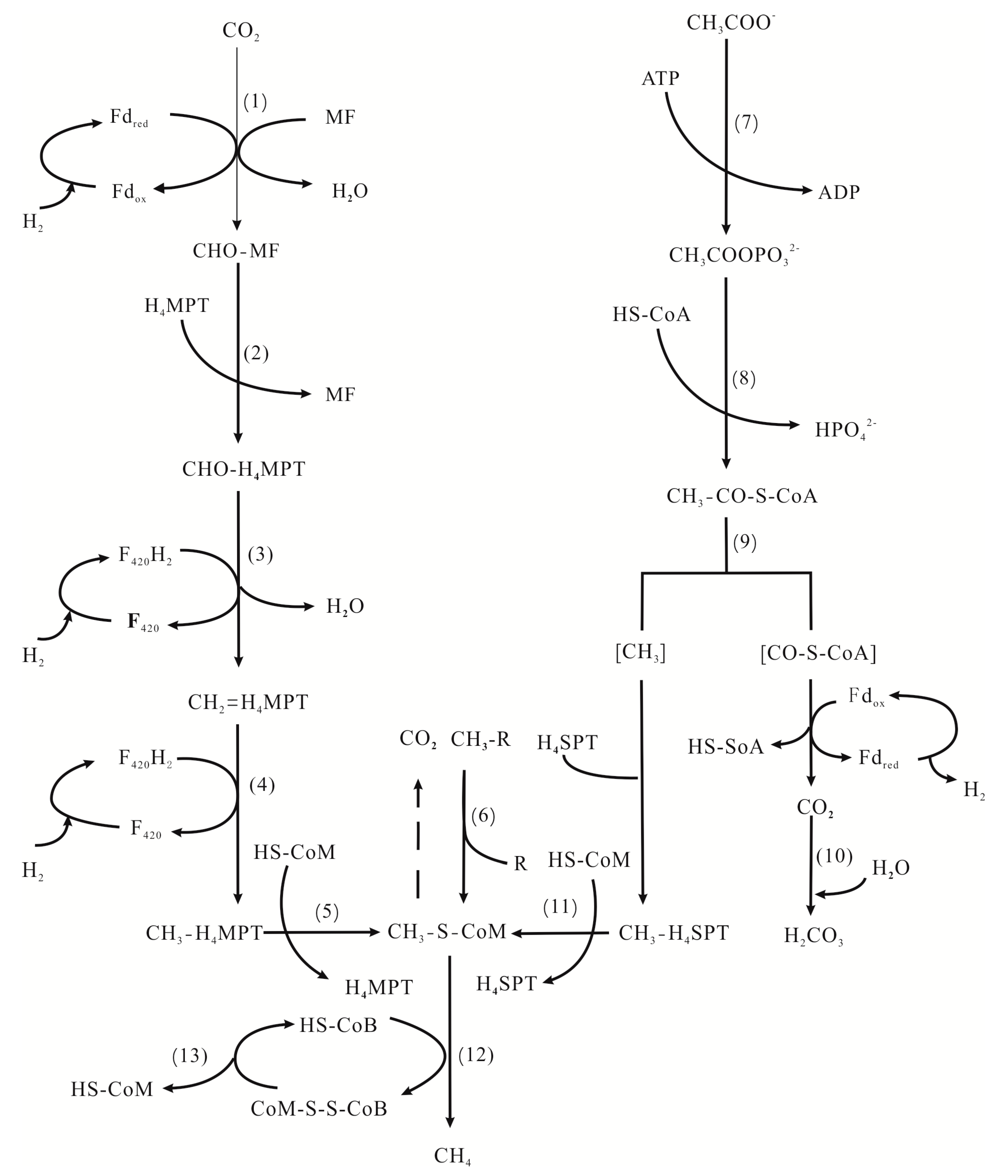 Minerals 09 00413 g006