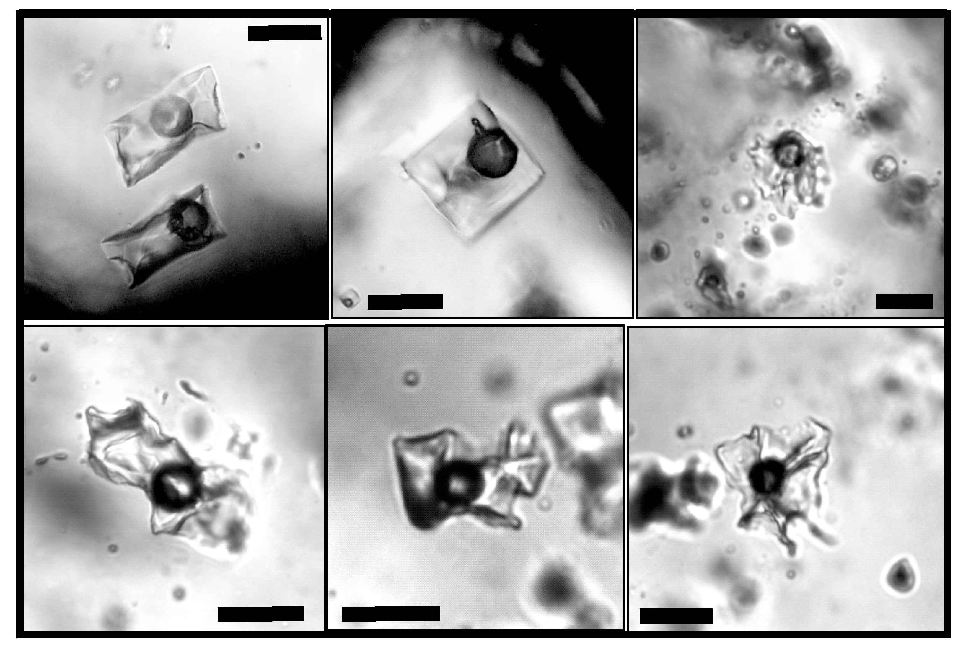 Minerals 09 00572 g008