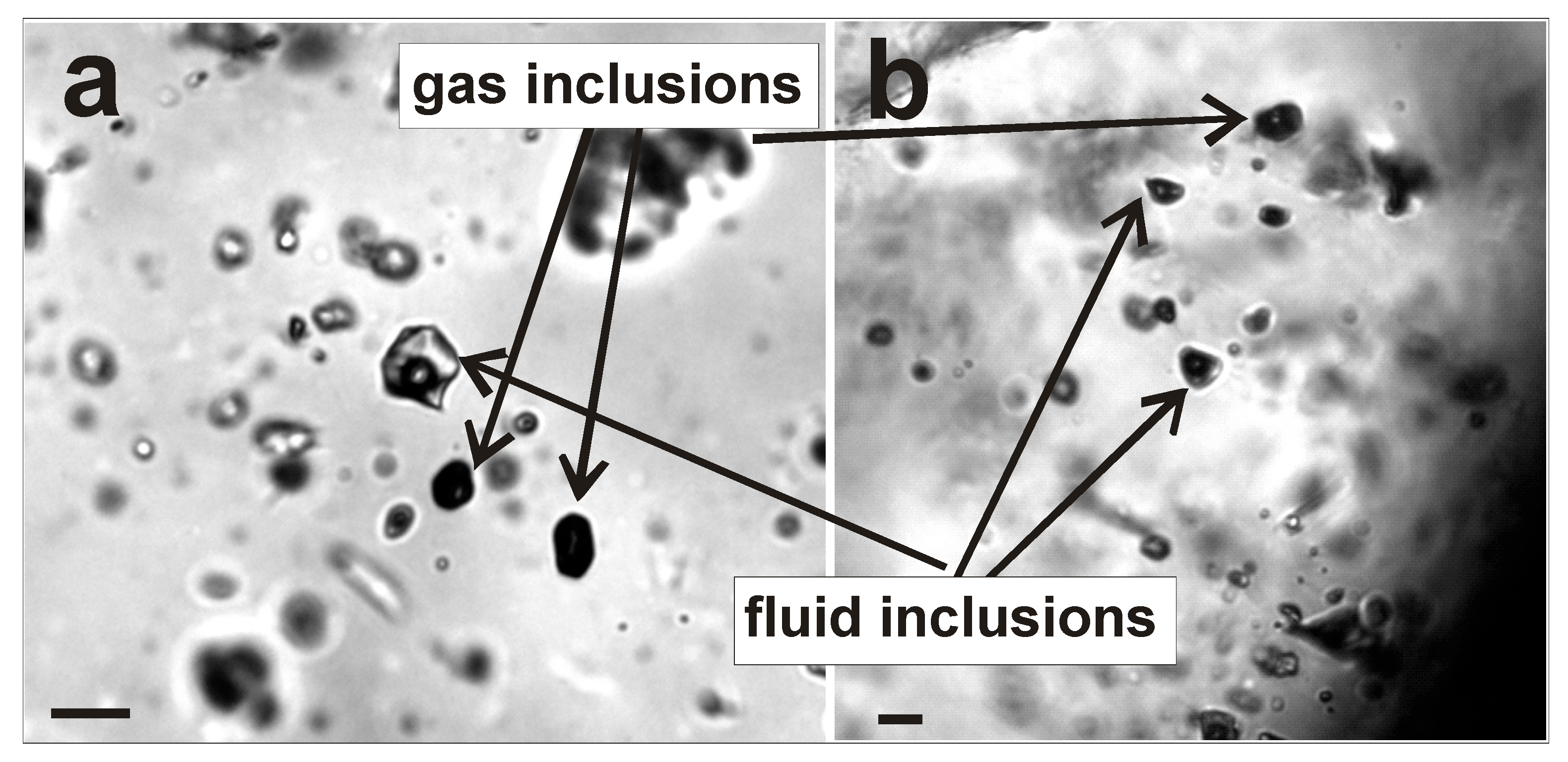 Minerals 09 00572 g009