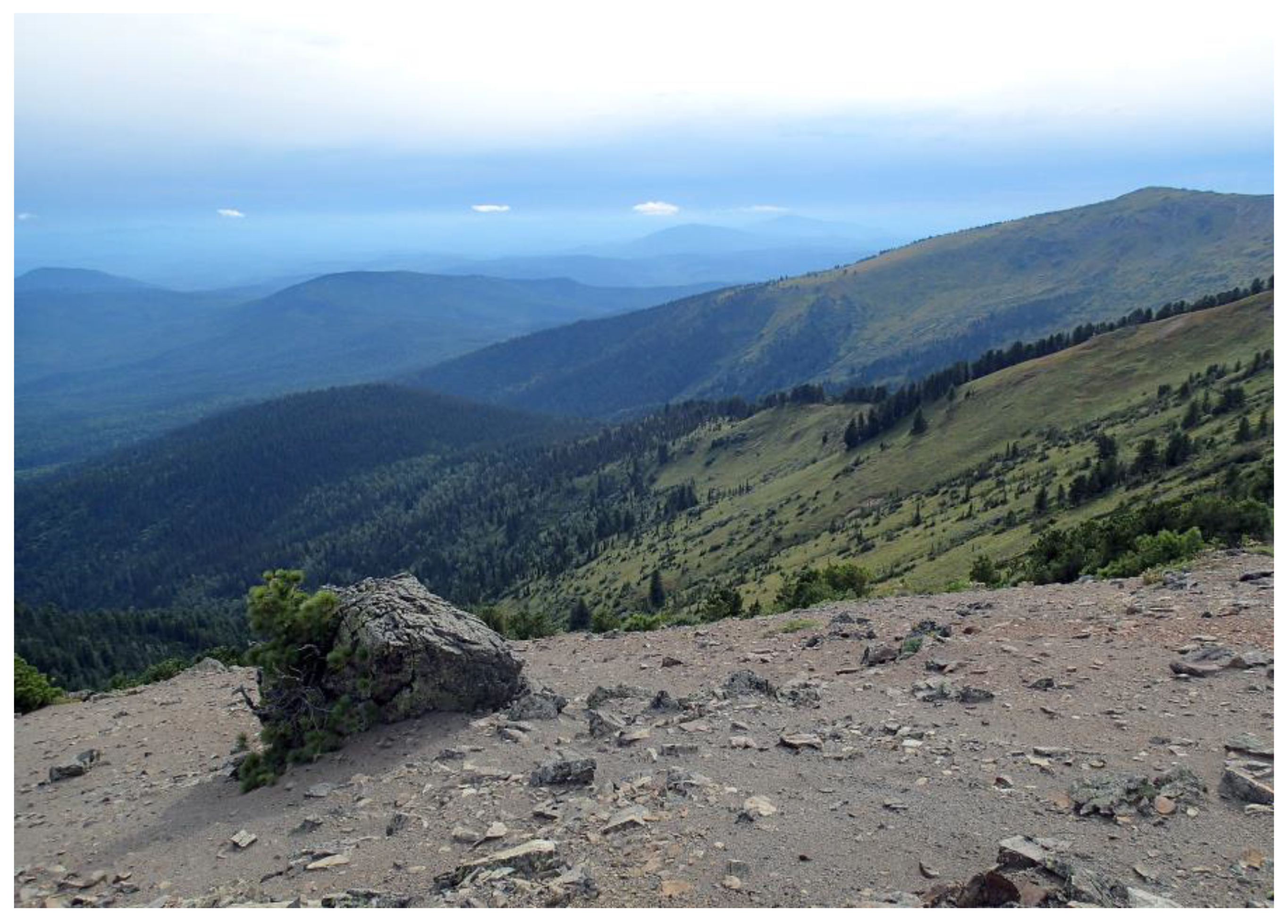 Minerals 09 00611 g001