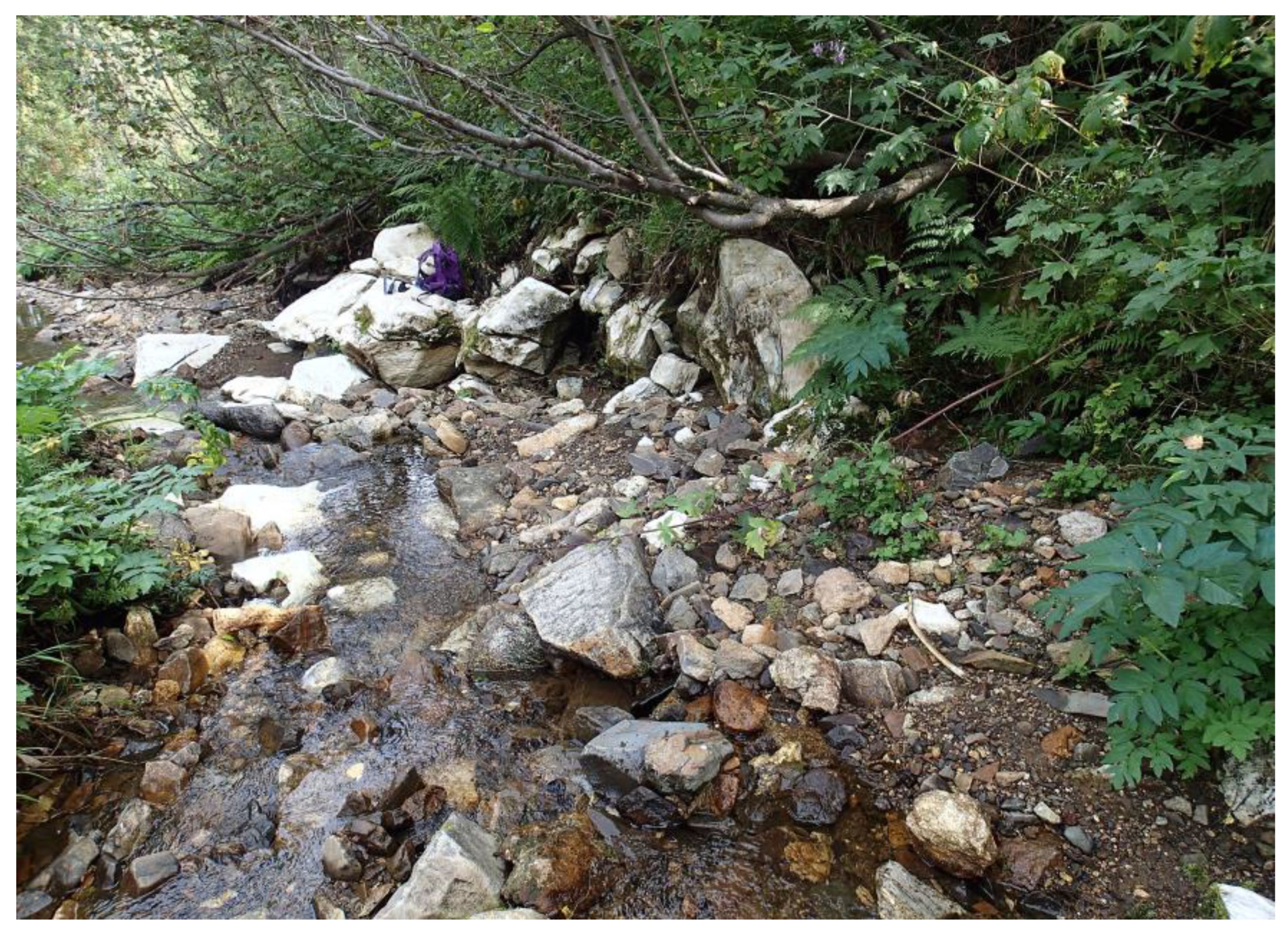 Minerals 09 00611 g002