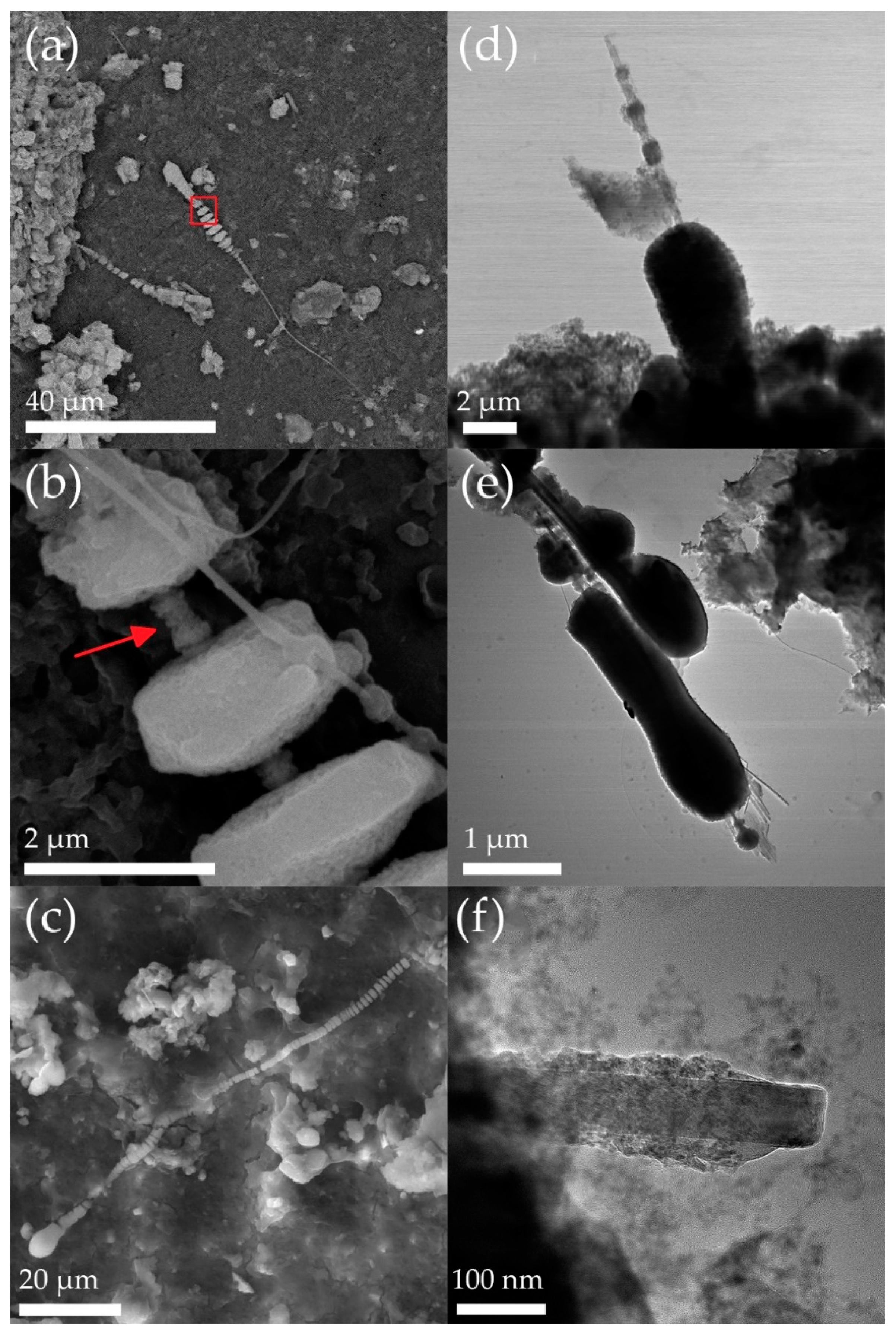 Minerals 09 00618 g008
