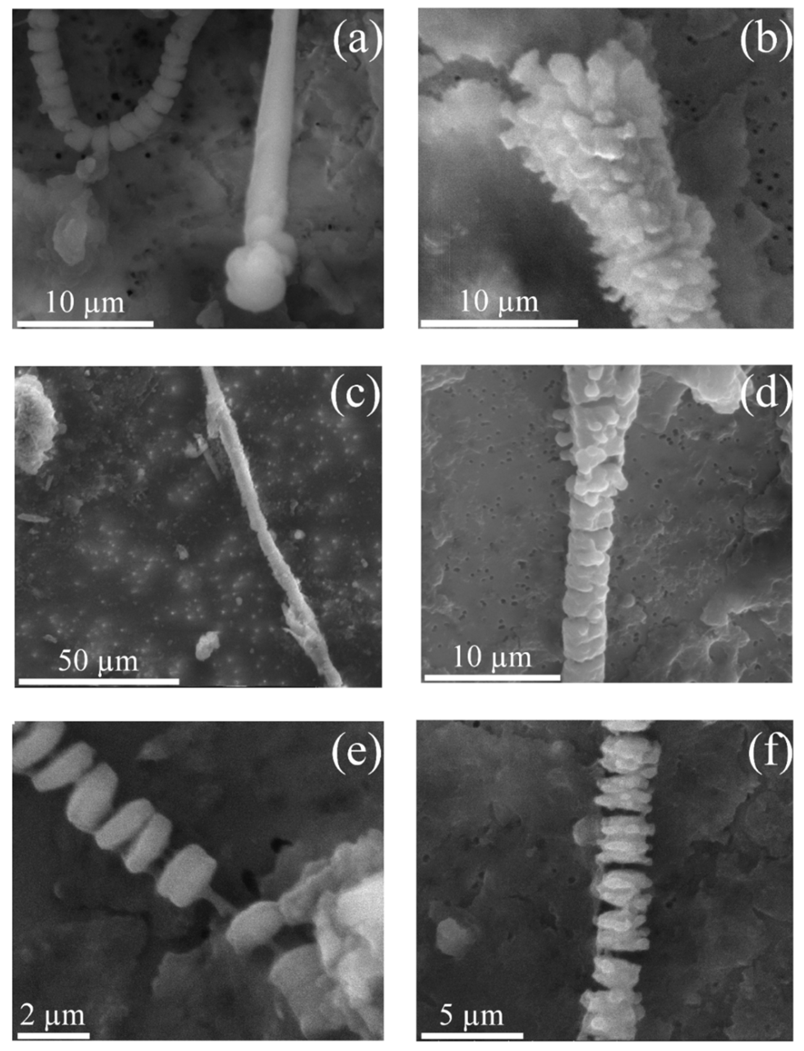 Minerals 09 00618 g009