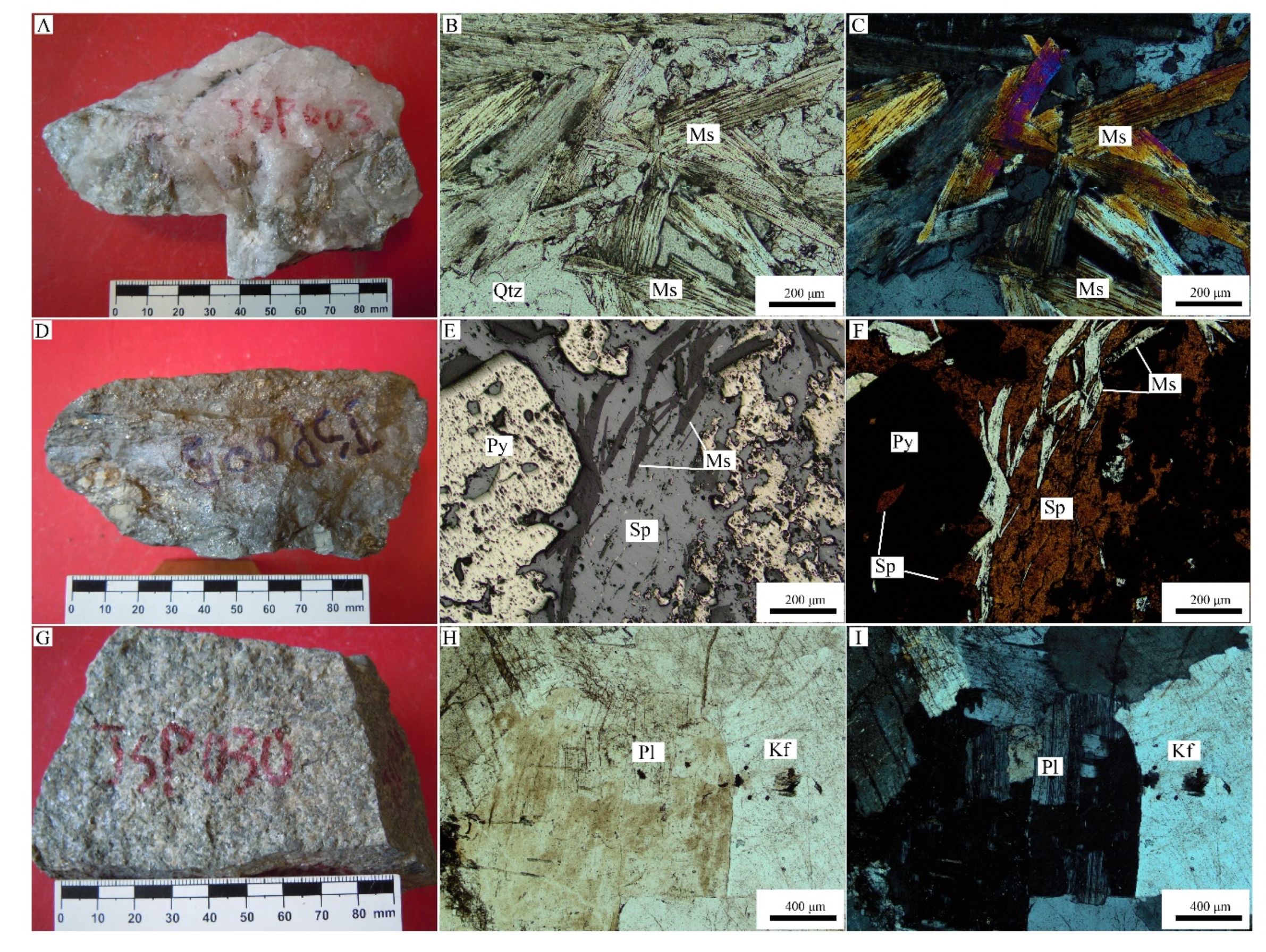 Minerals 09 00622 g004