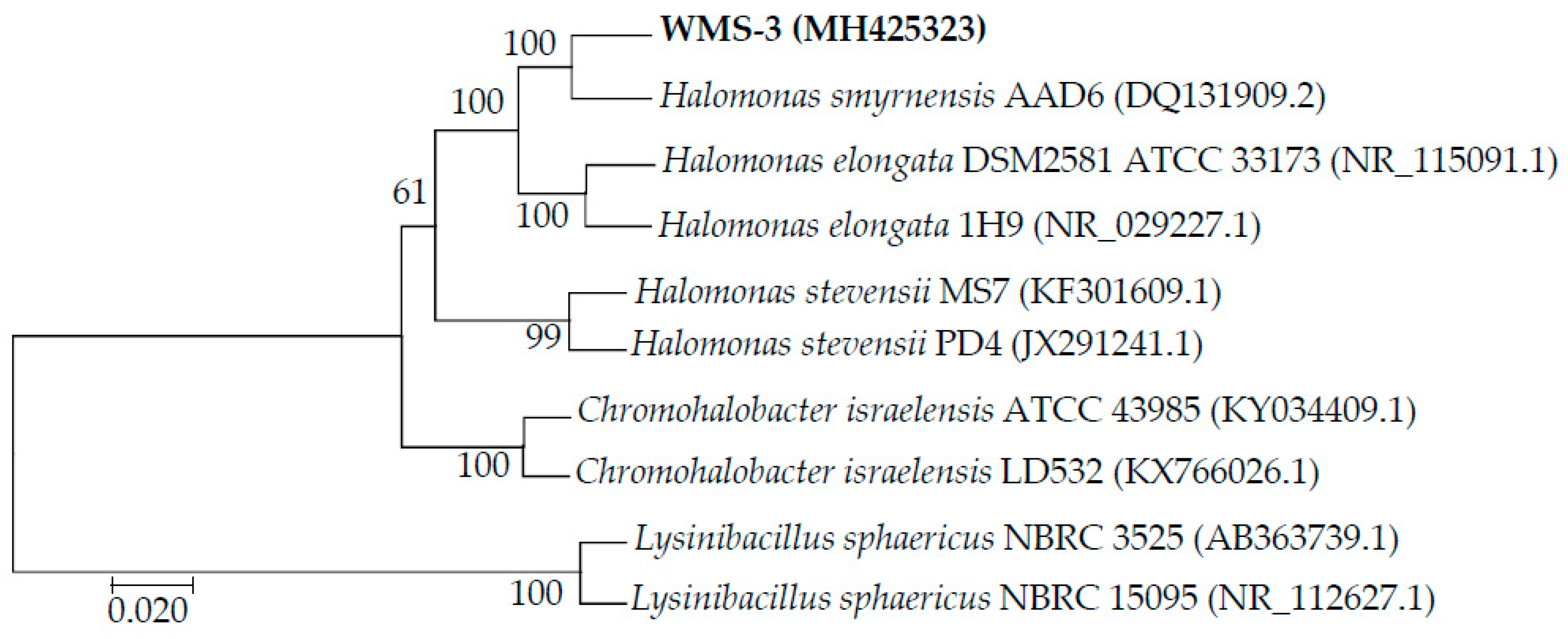 Minerals 09 00632 g001