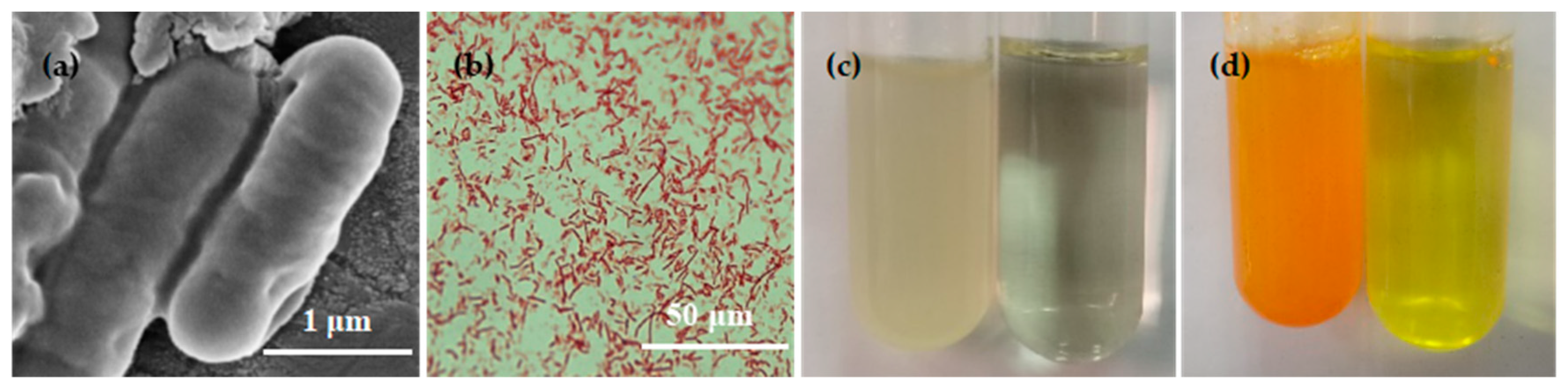 Minerals 09 00632 g002