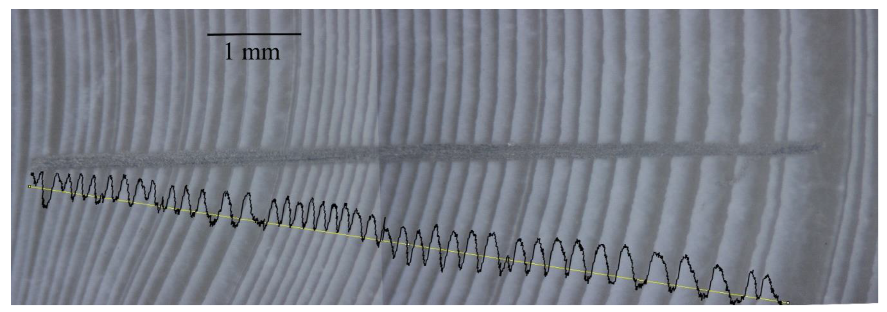 Minerals 09 00634 g002