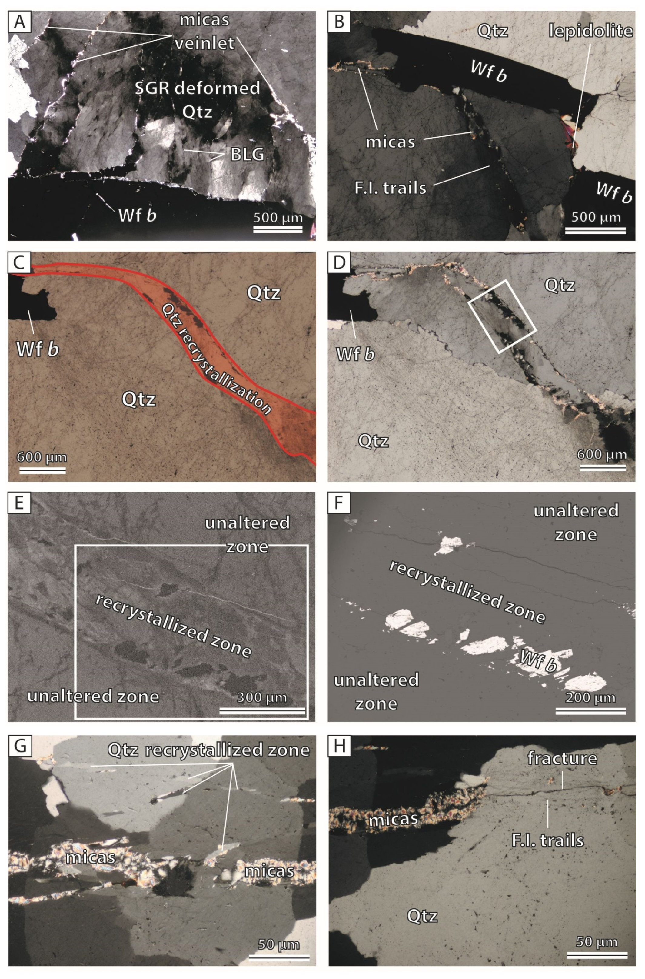 Minerals 09 00637 g005a Minerals 09 00637 g005a