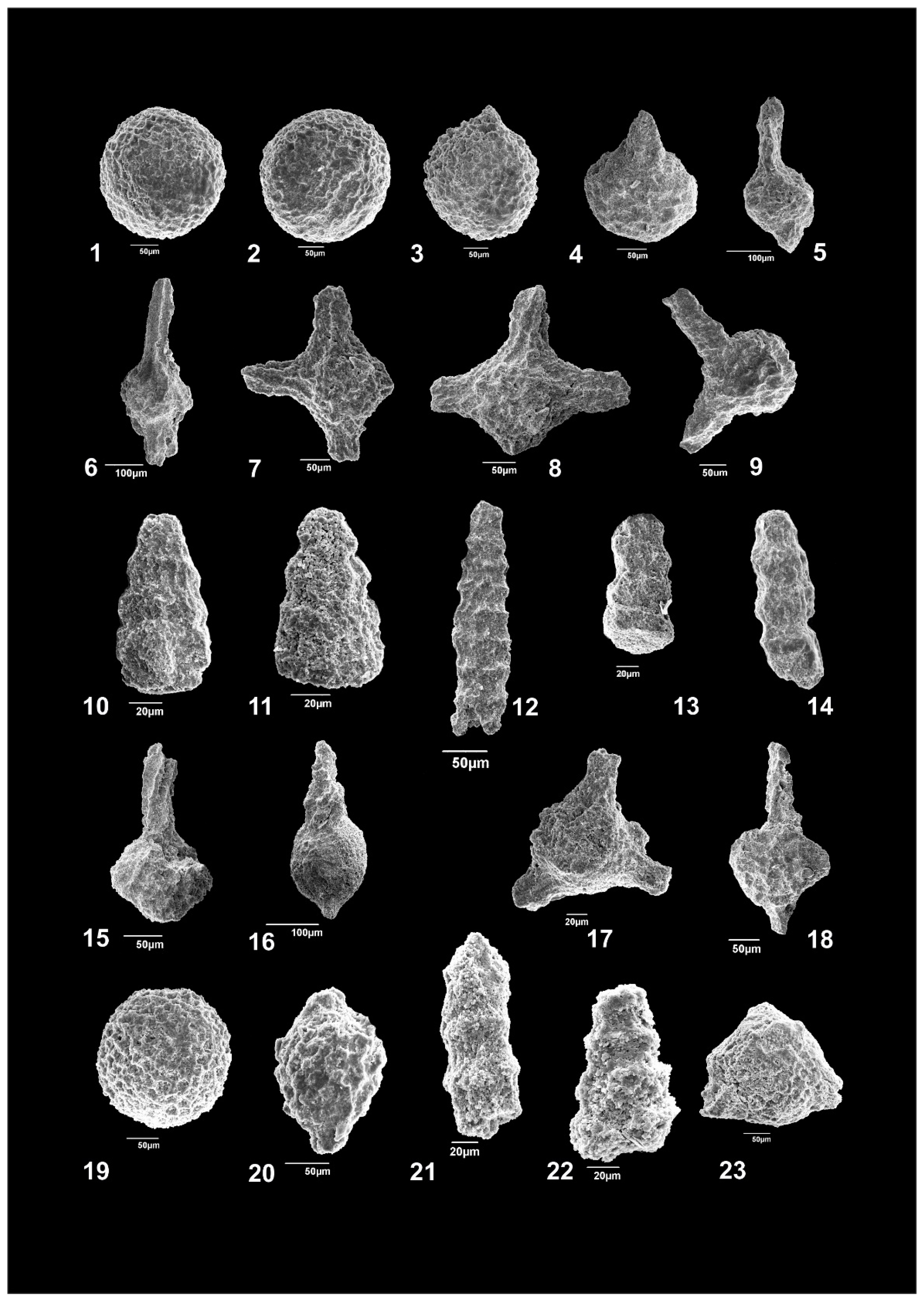 Minerals 09 00652 g008
