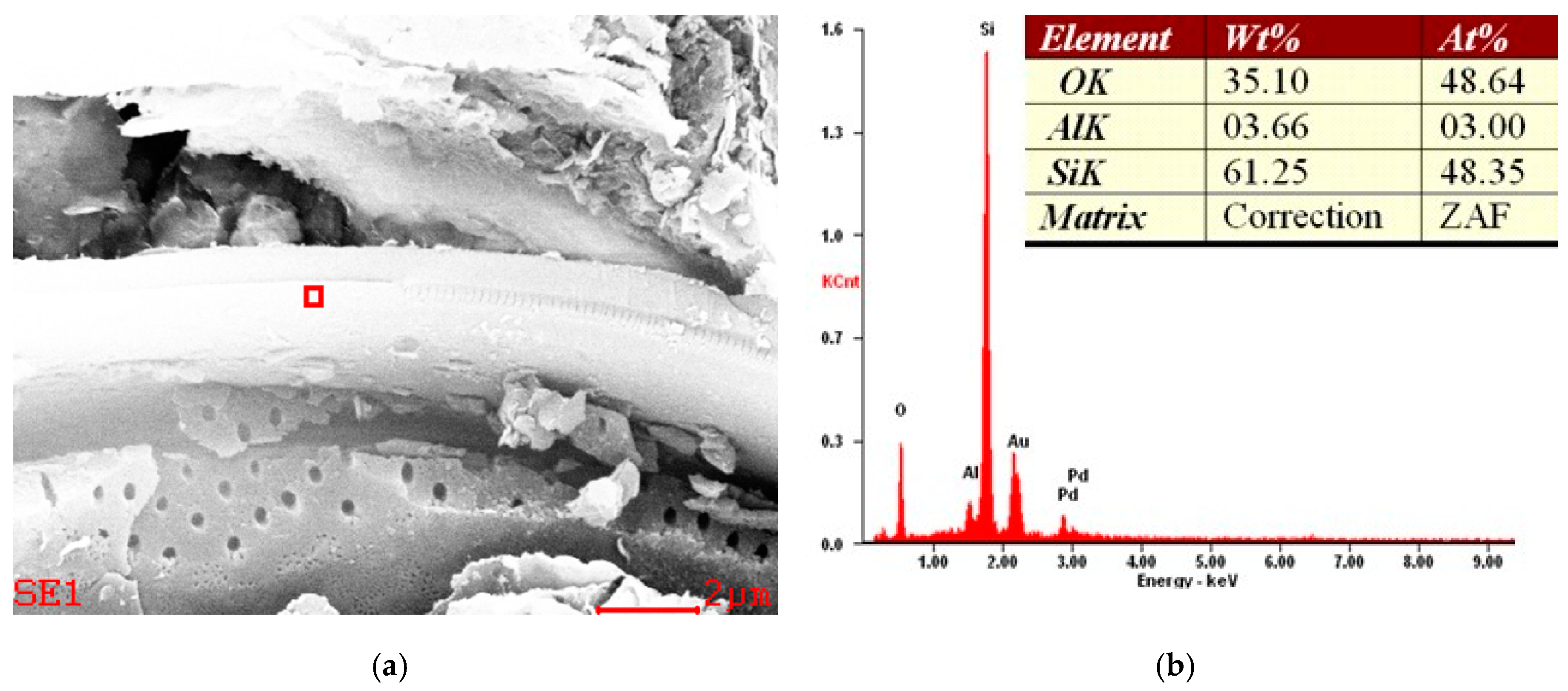 Minerals 09 00670 g011 Minerals 09 00670 g011