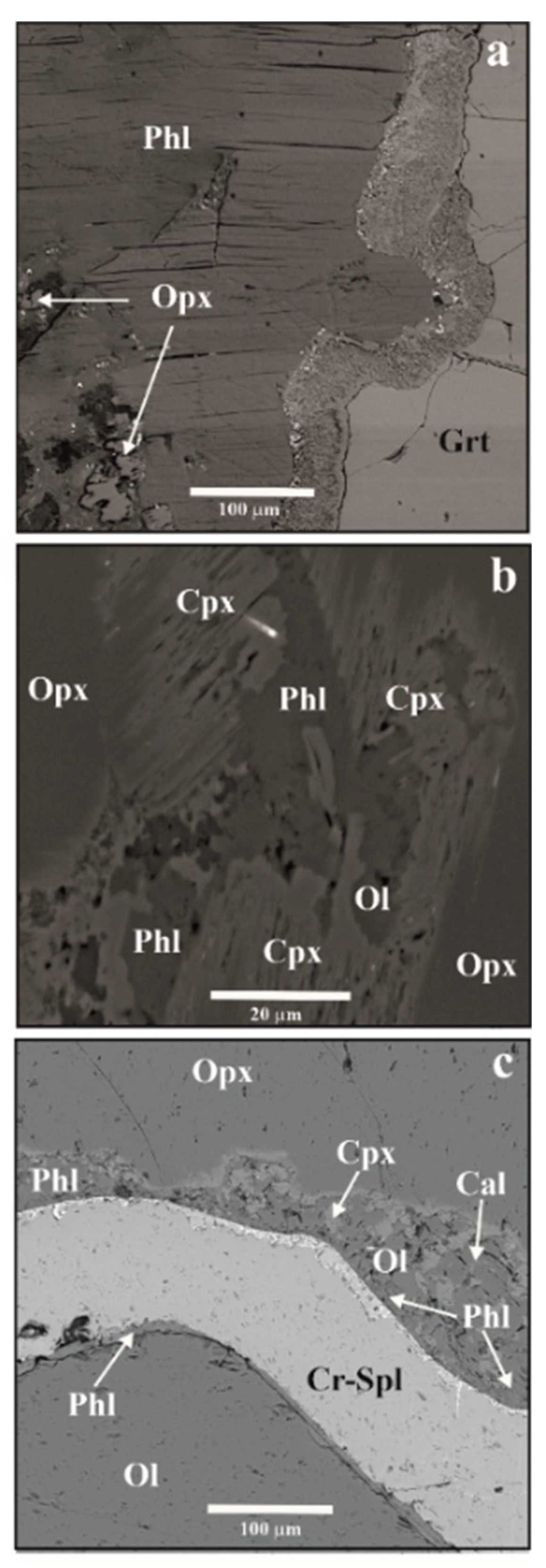 Minerals 09 00685 g001