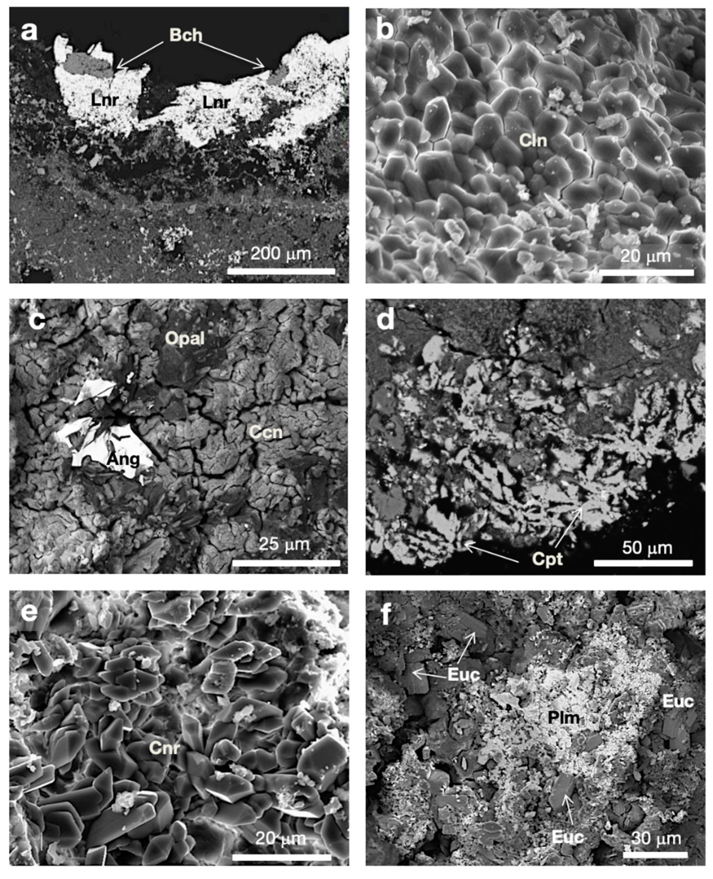 Minerals 09 00730 g008