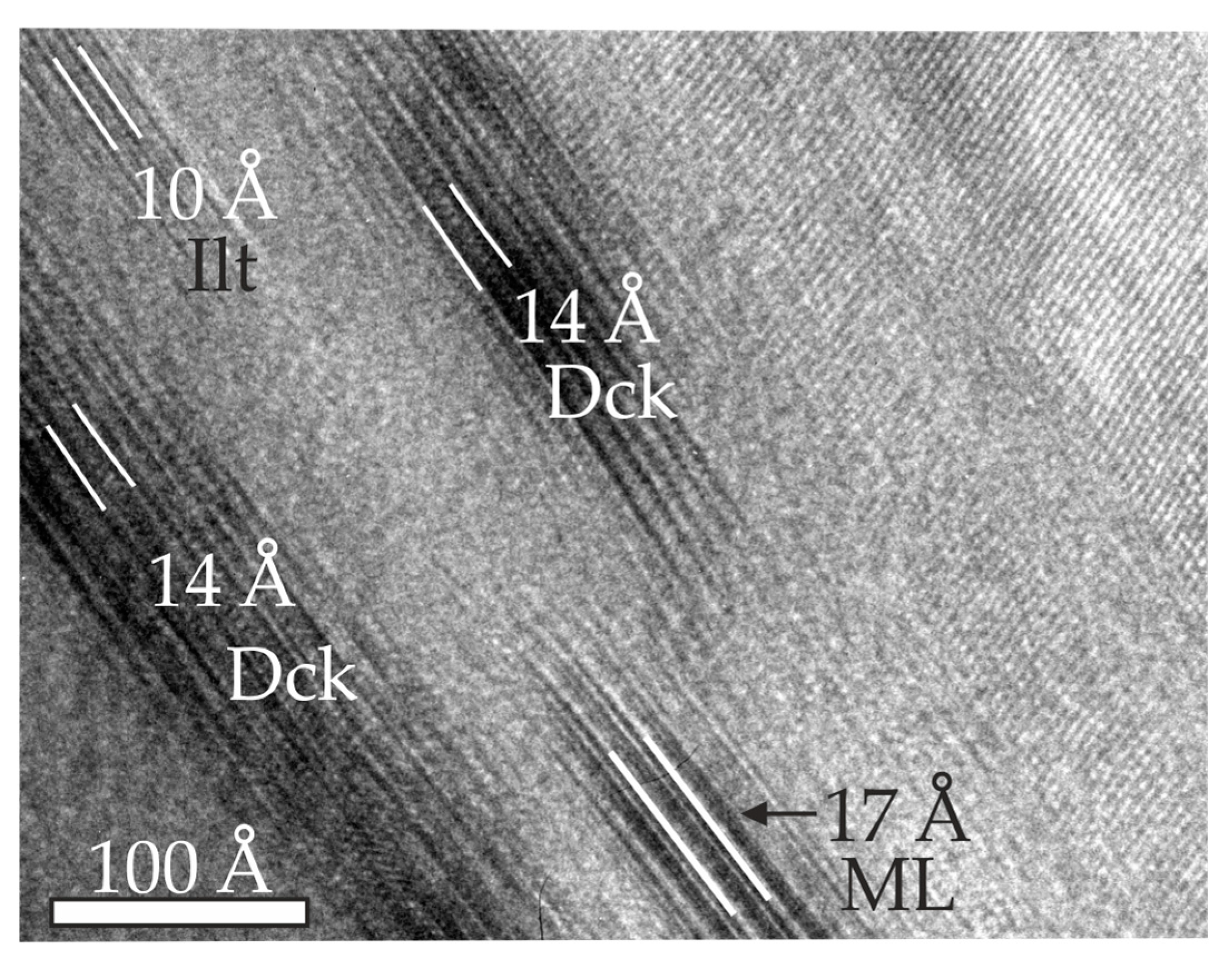 Minerals 09 00738 g008