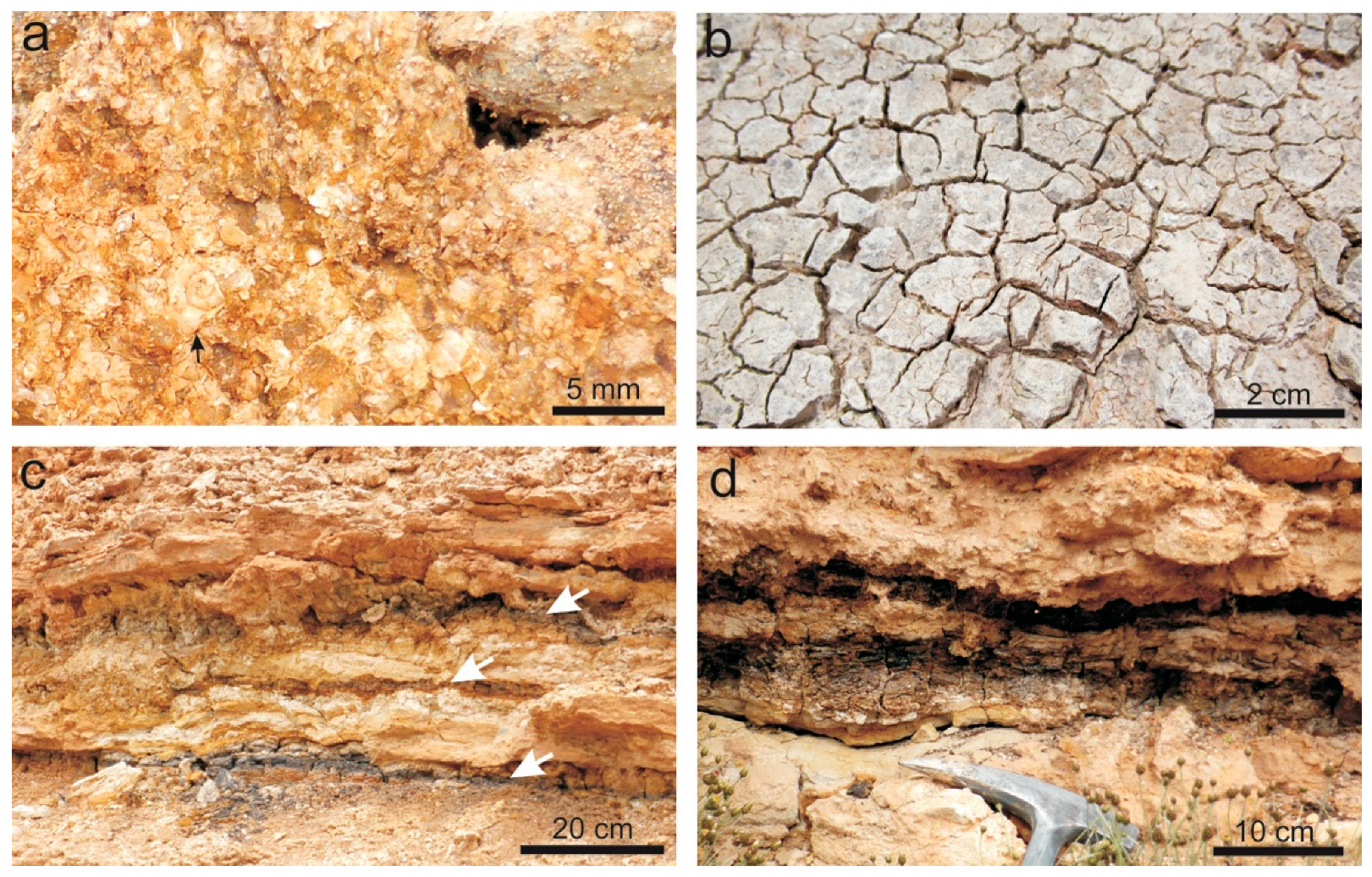 Minerals 09 00748 g003