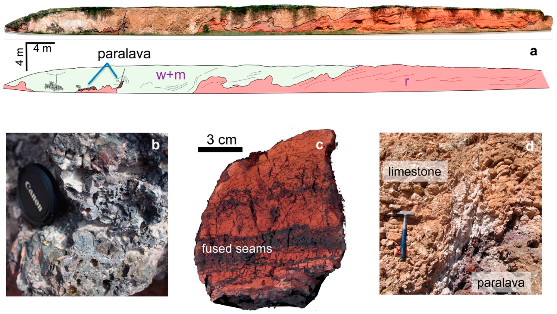 Minerals 09 00748 g005