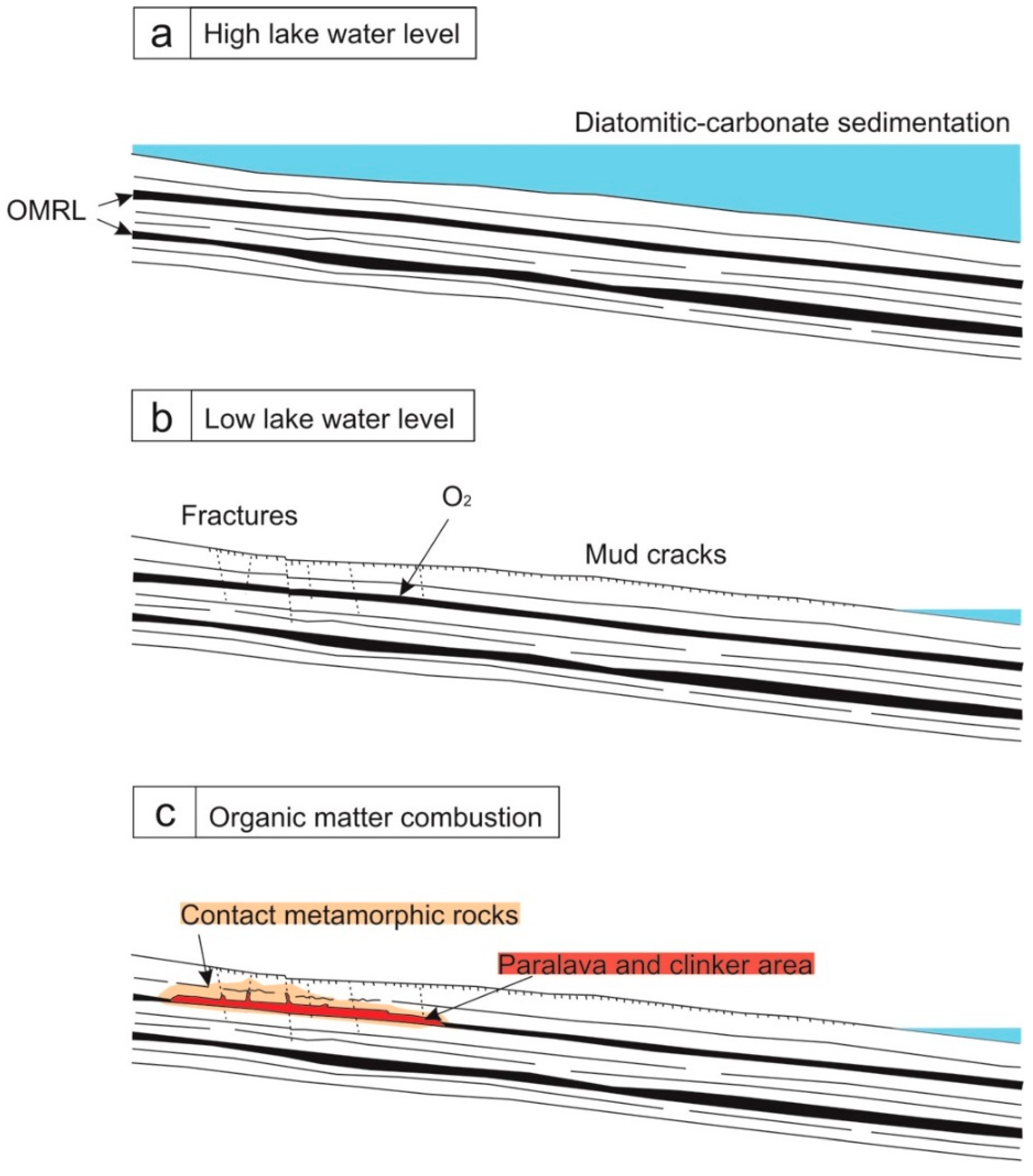 Minerals 09 00748 g014