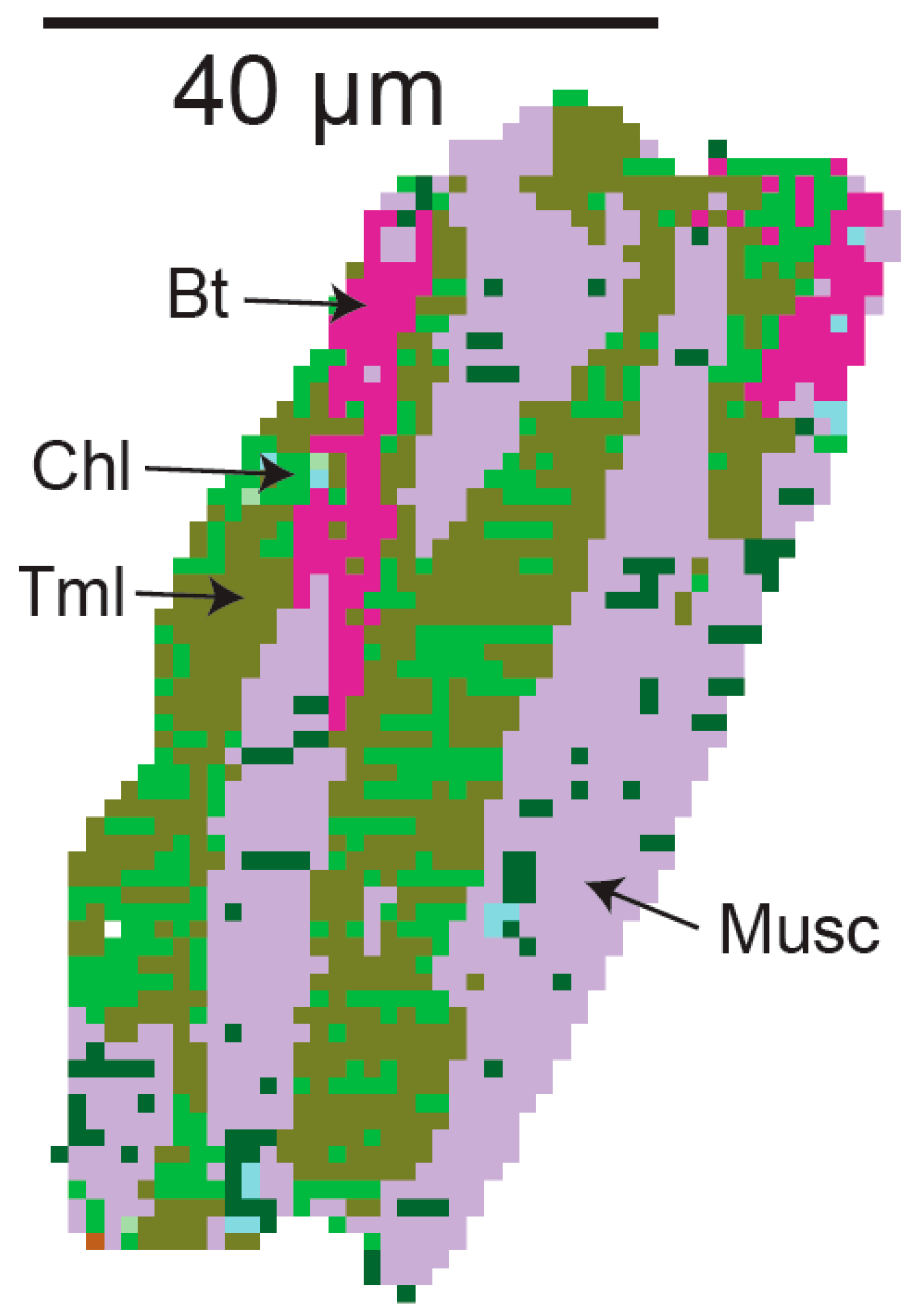 Minerals 09 00750 g010