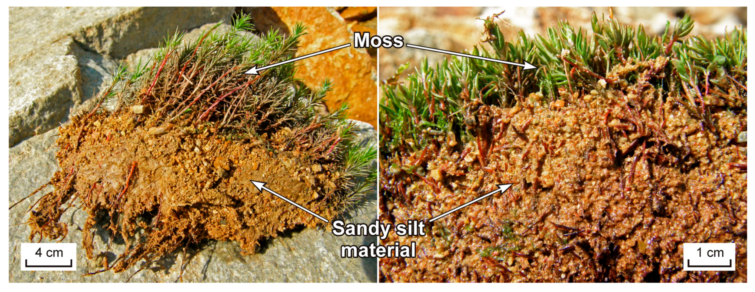 Minerals 09 00789 g030 Minerals 09 00789 g030