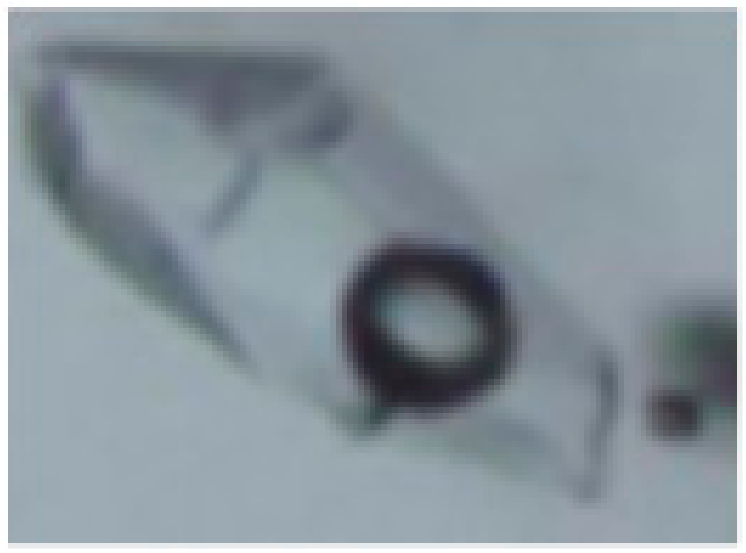 Minerals 10 00037 i003