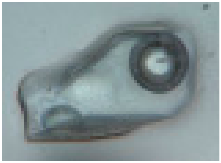 Minerals 10 00037 i005