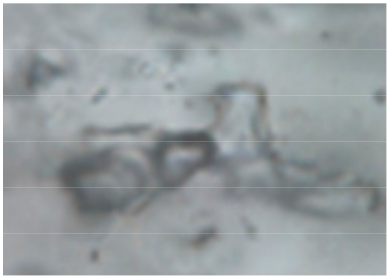 Minerals 10 00037 i007