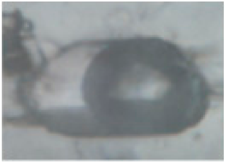 Minerals 10 00037 i008