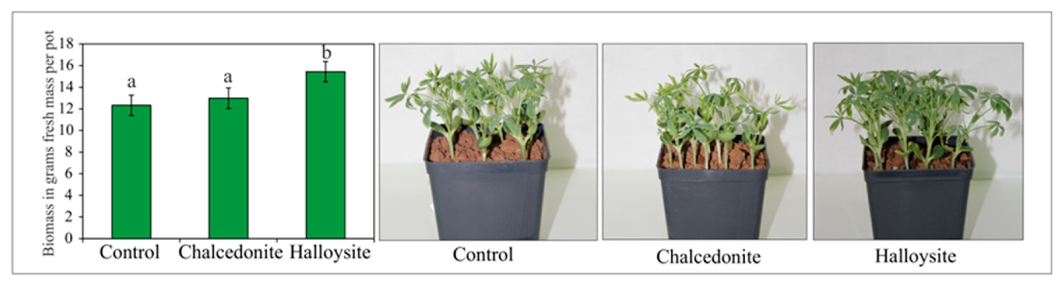 Minerals 10 00087 g004