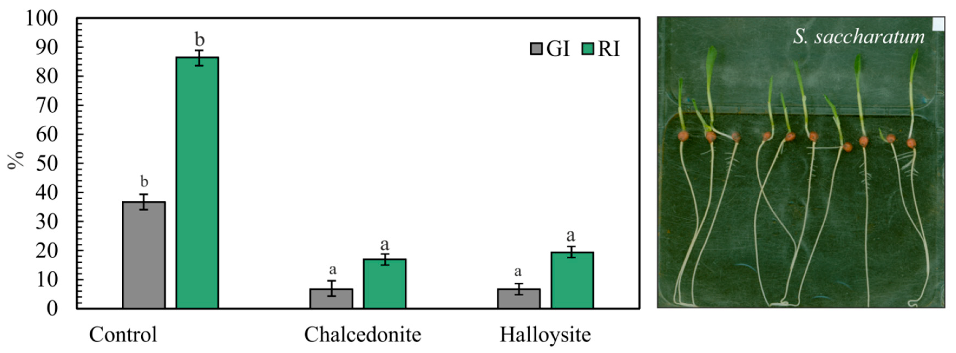 Minerals 10 00087 g008