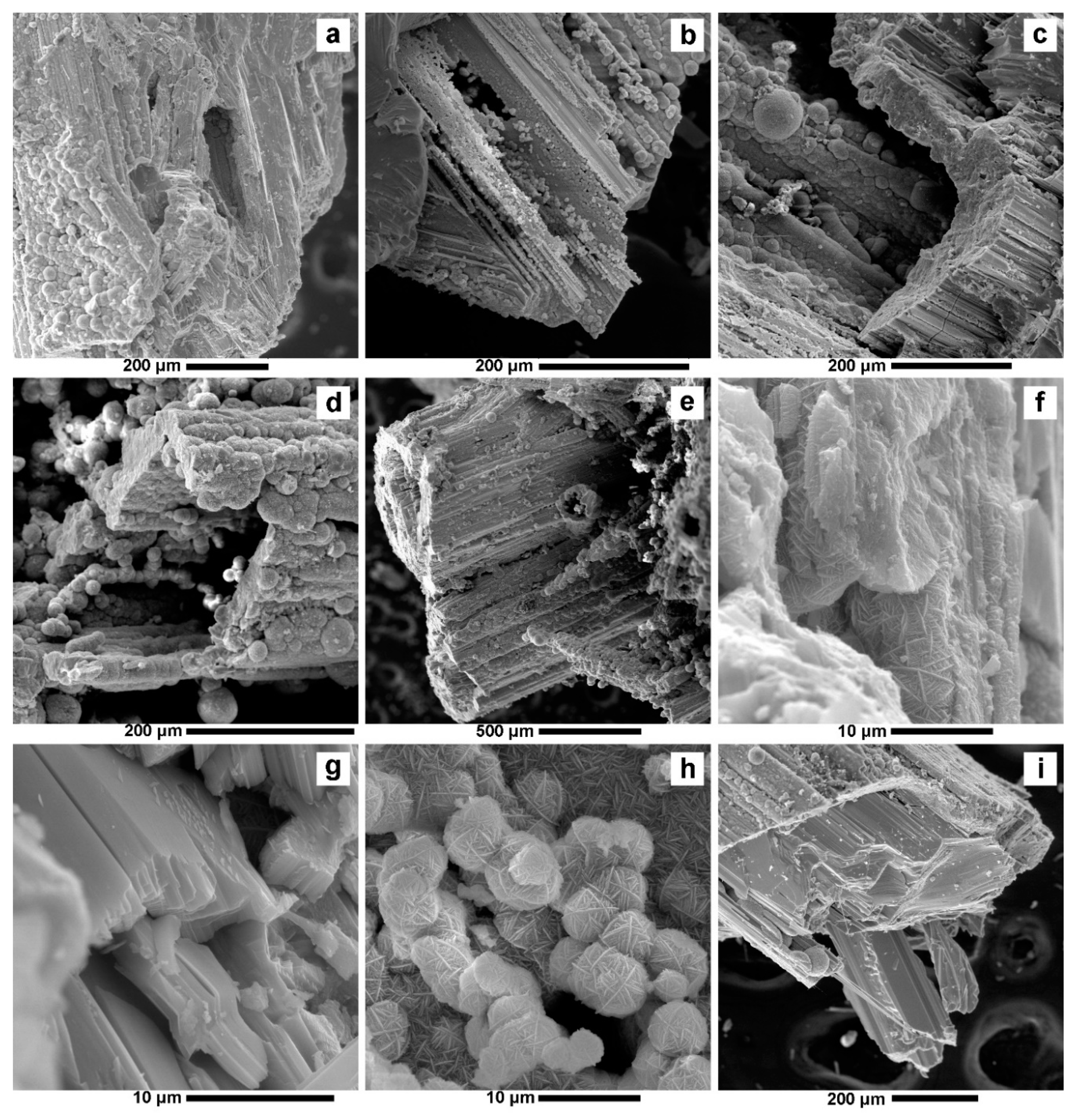 Minerals 10 00121 g006 Minerals 10 00121 g006