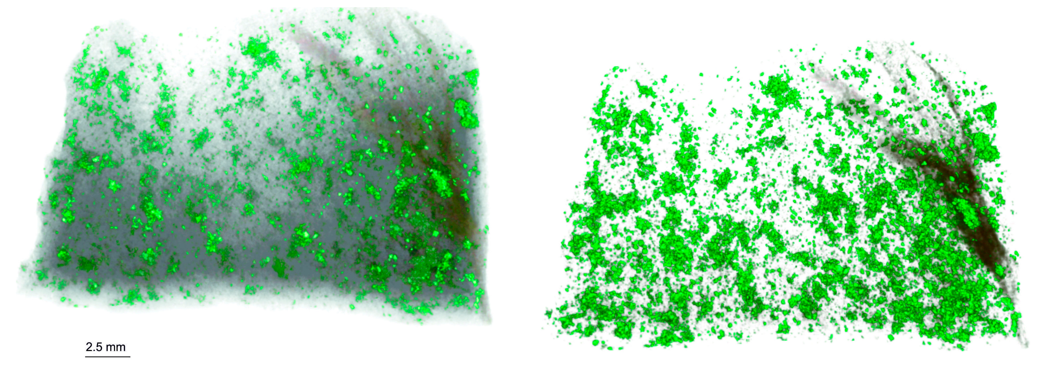 Minerals 10 00129 g006