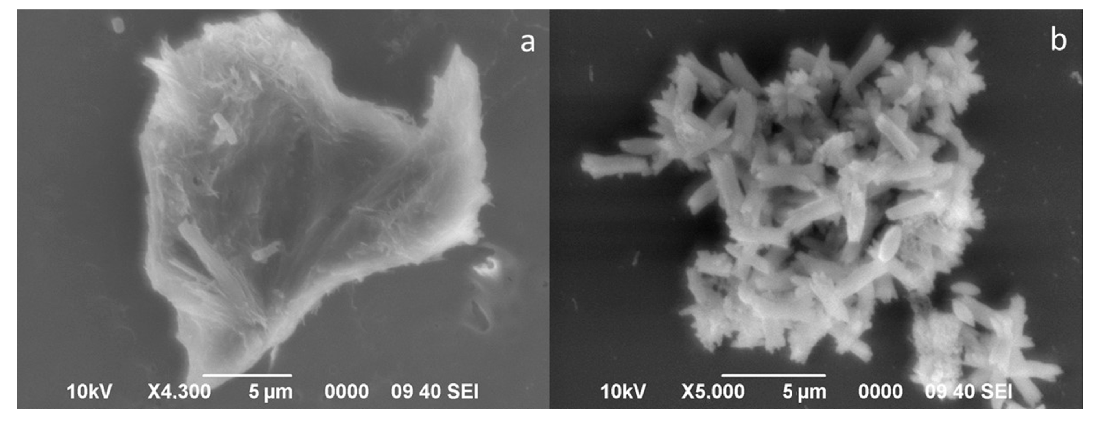 Minerals 10 00130 g013