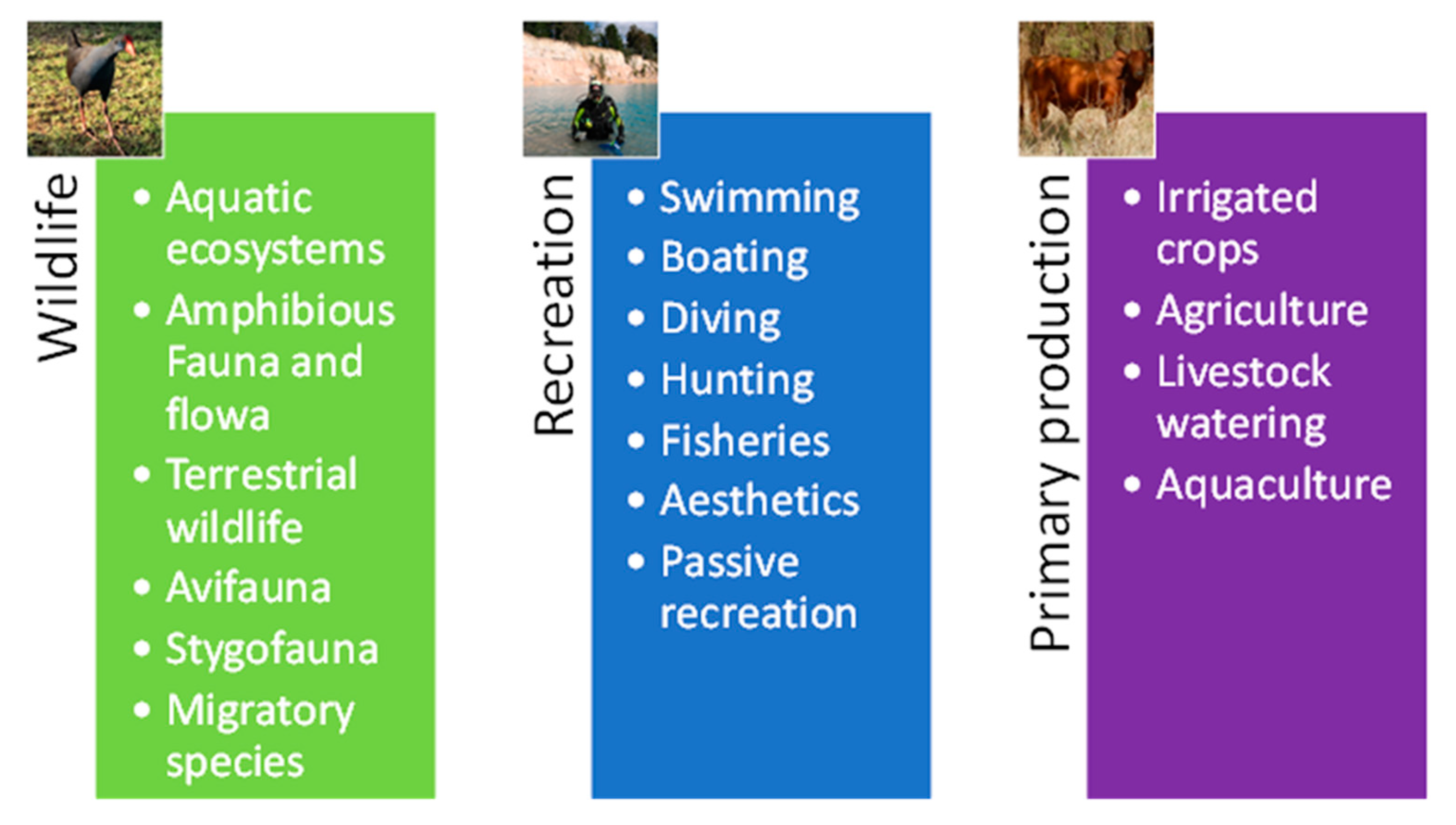 Minerals 10 00133 g001