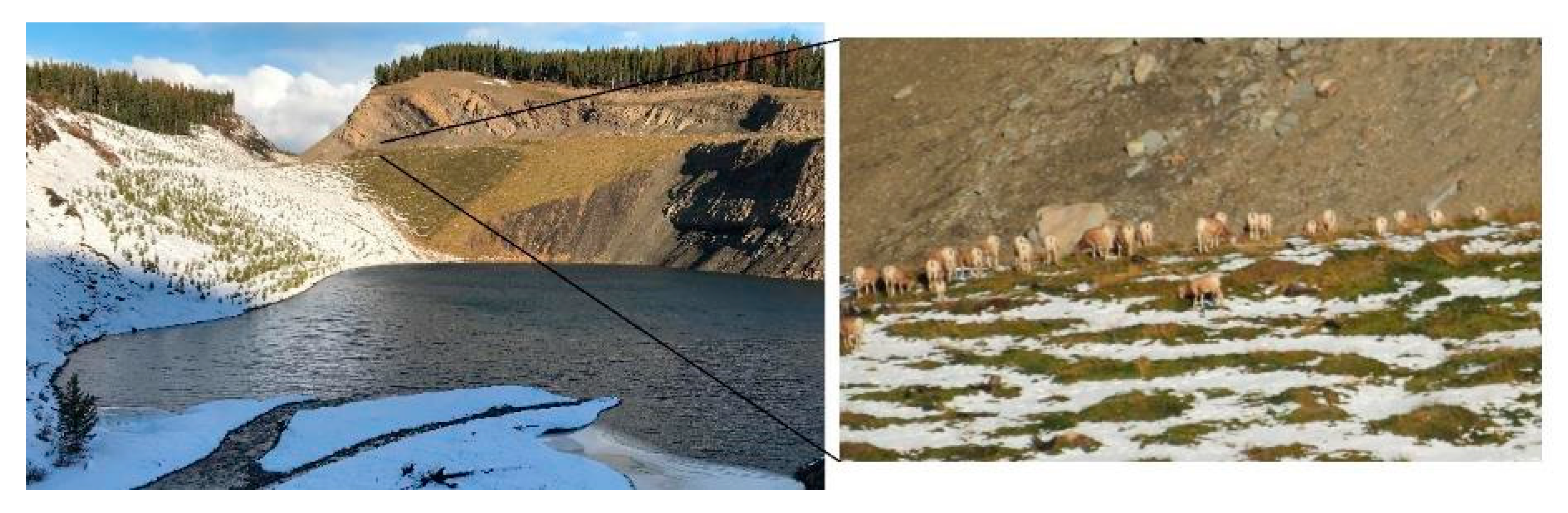 Minerals 10 00133 g002