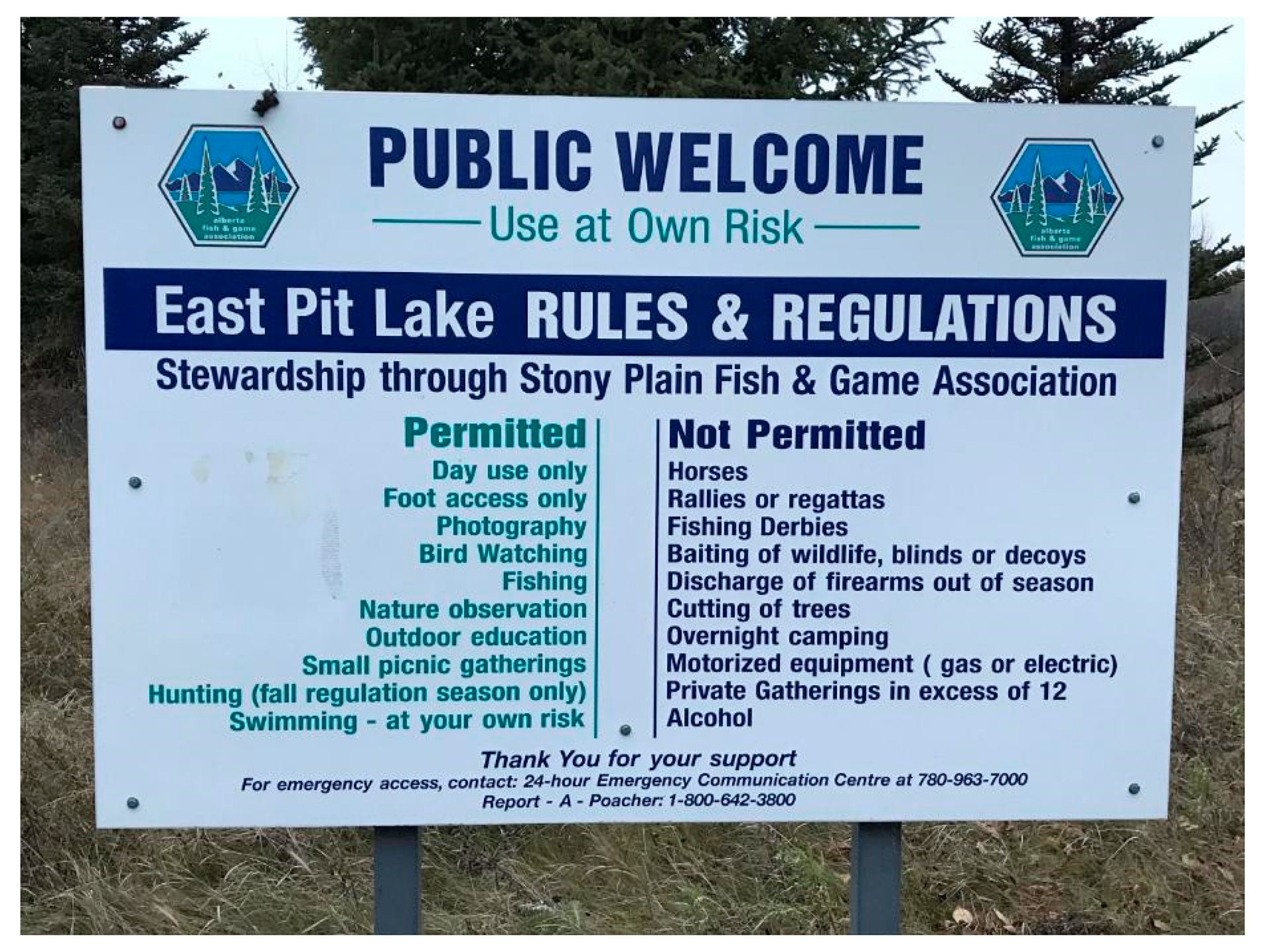 Minerals 10 00133 g003