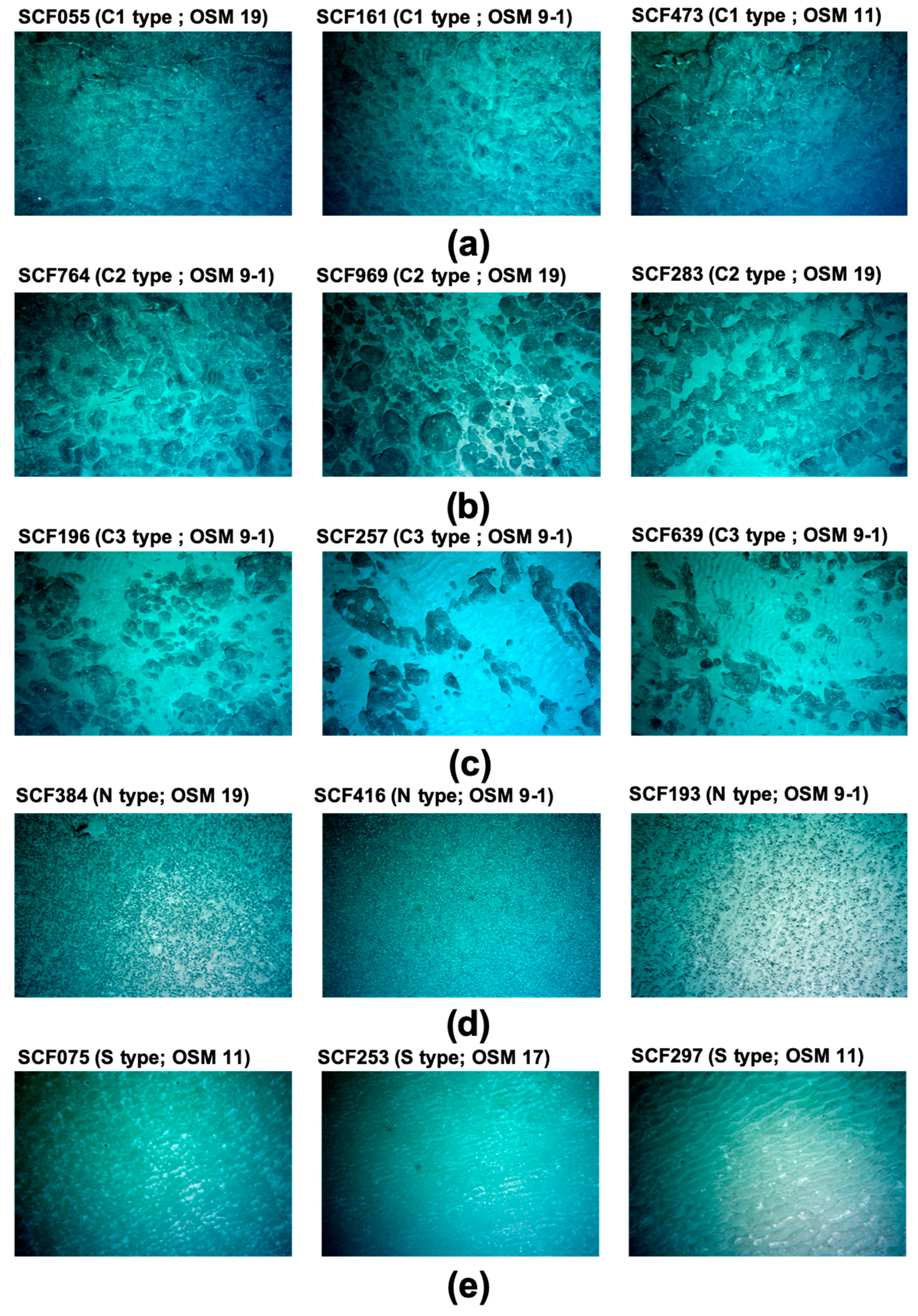 Minerals 10 00155 g006