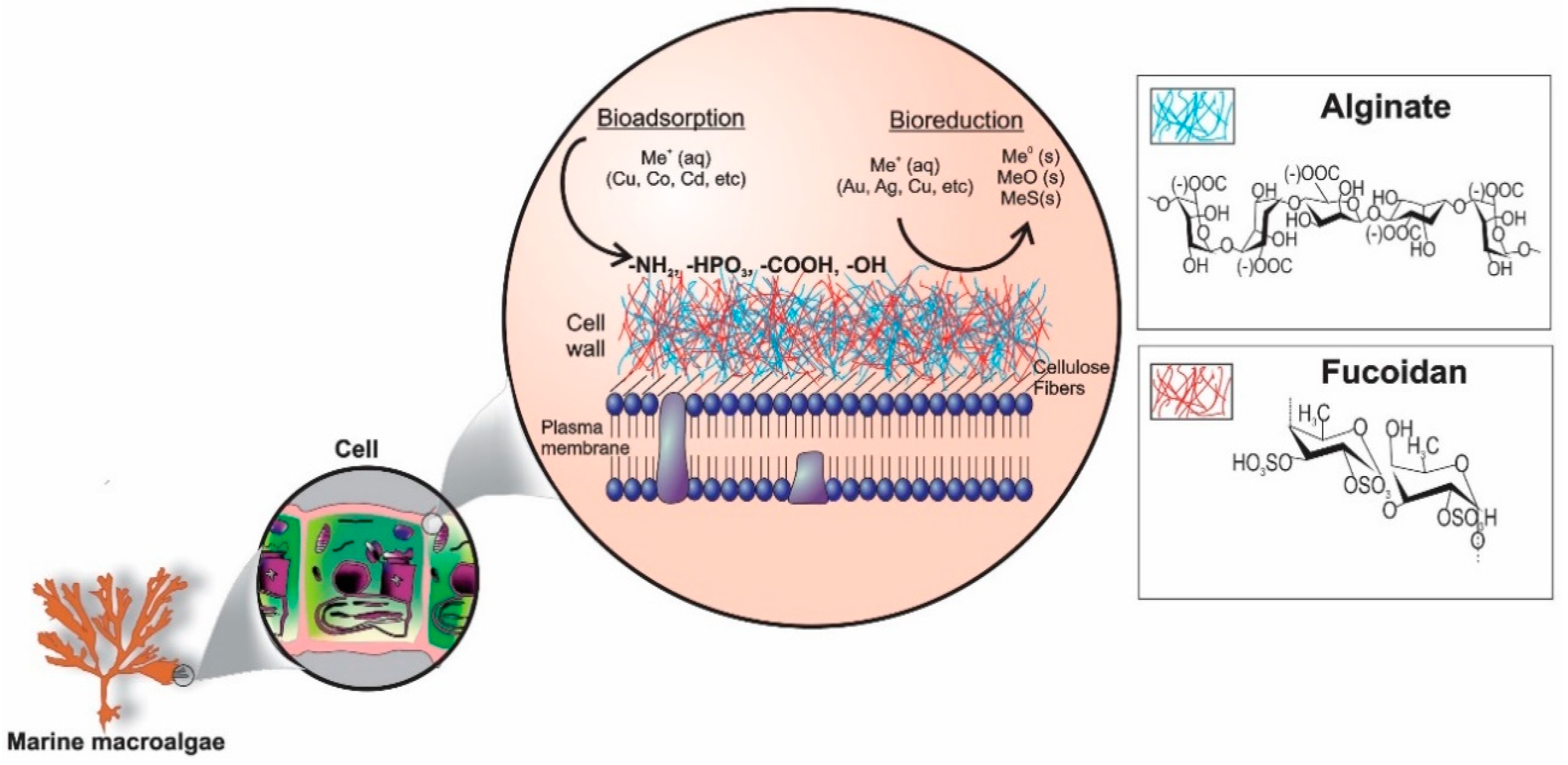 Minerals 10 00158 g002