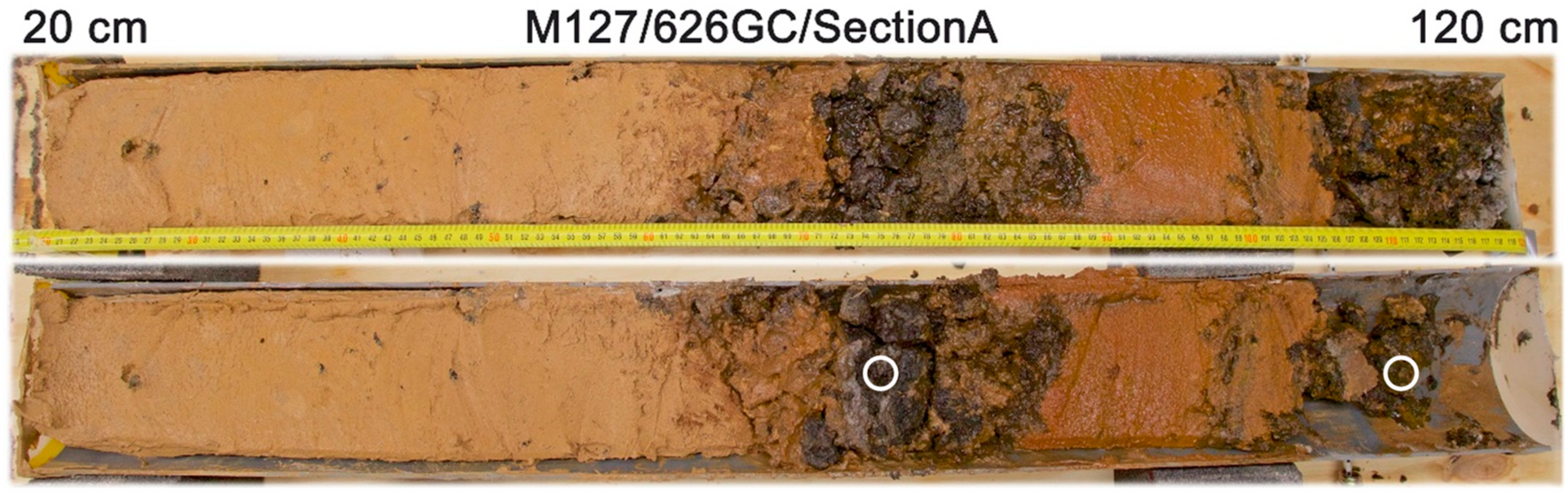Minerals 10 00160 g009 Minerals 10 00160 g009