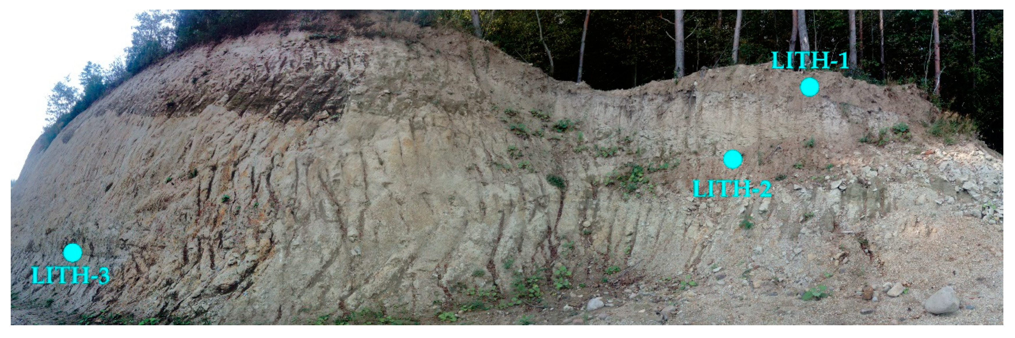 Minerals 10 00174 g002