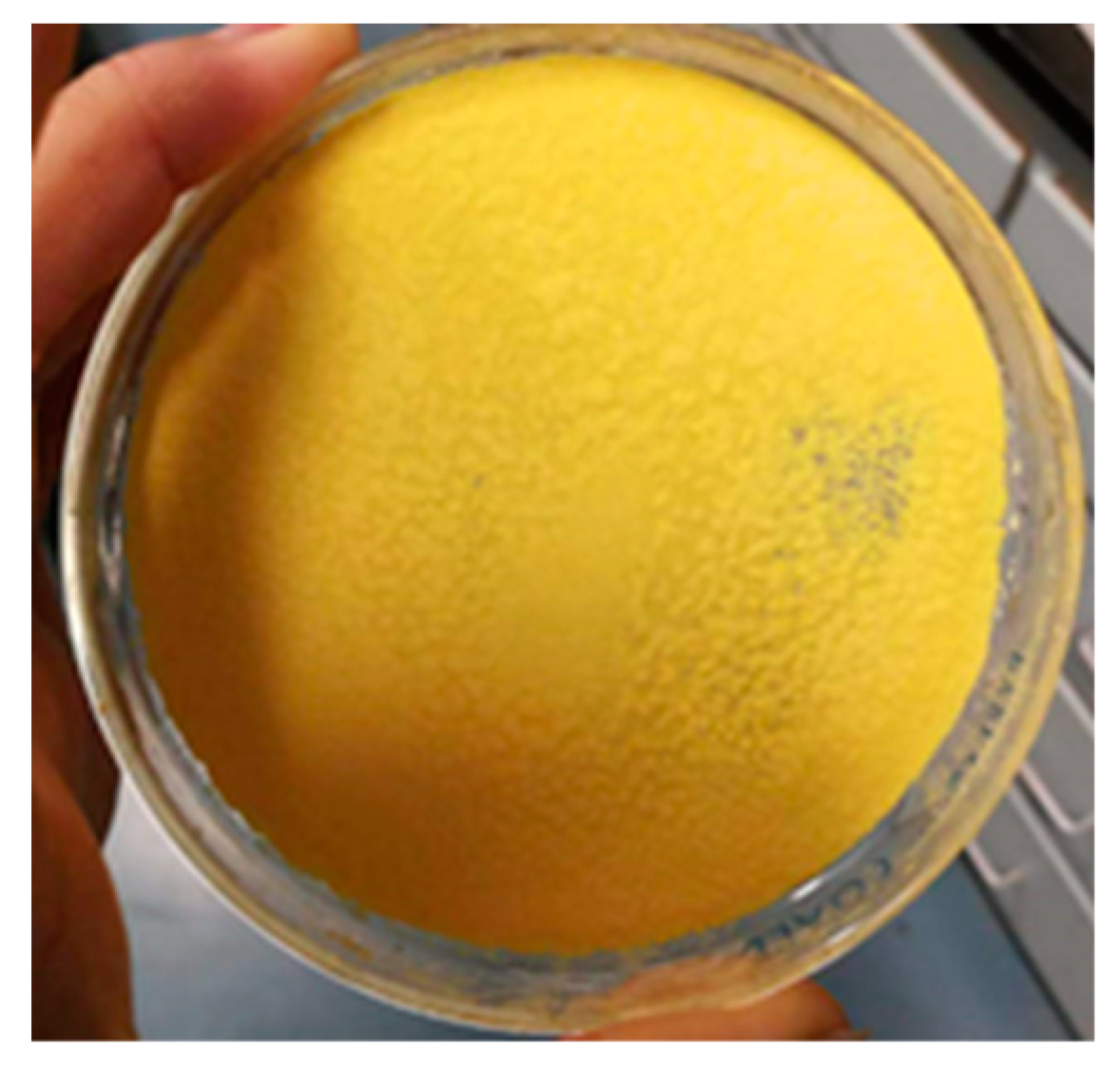 Minerals 10 00179 g002